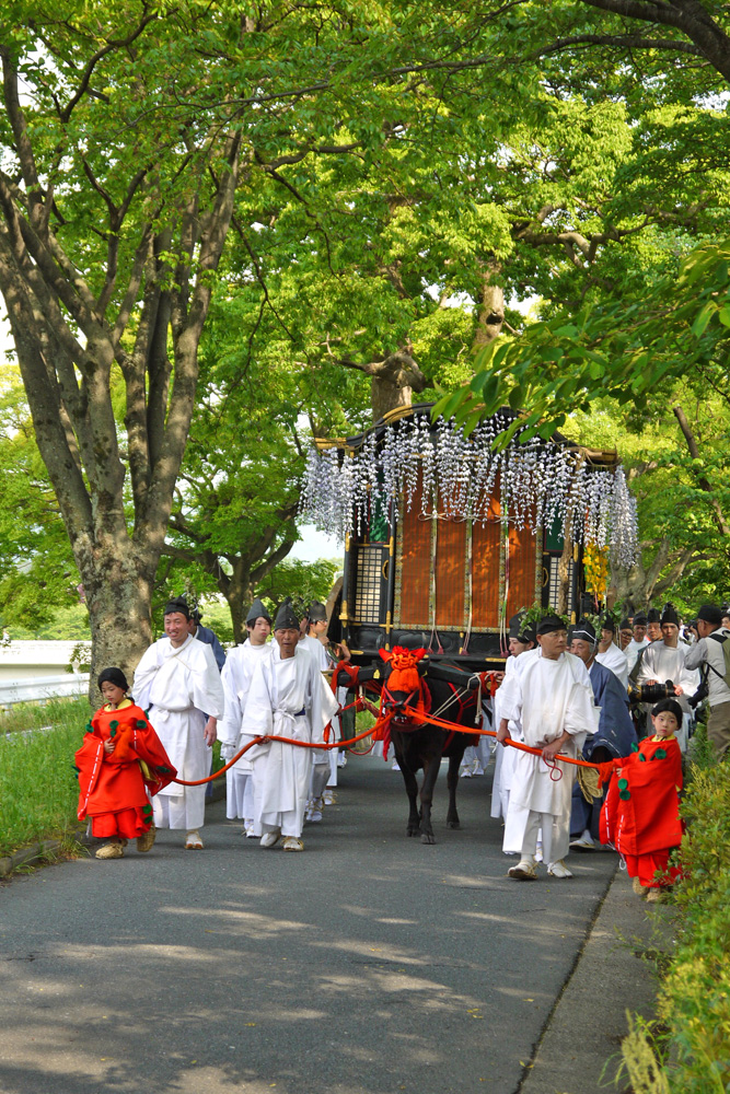 Kyoto’s Aoi Matsuri 2026: Why I’ll Never Watch This Parade from the Sidewalk Again