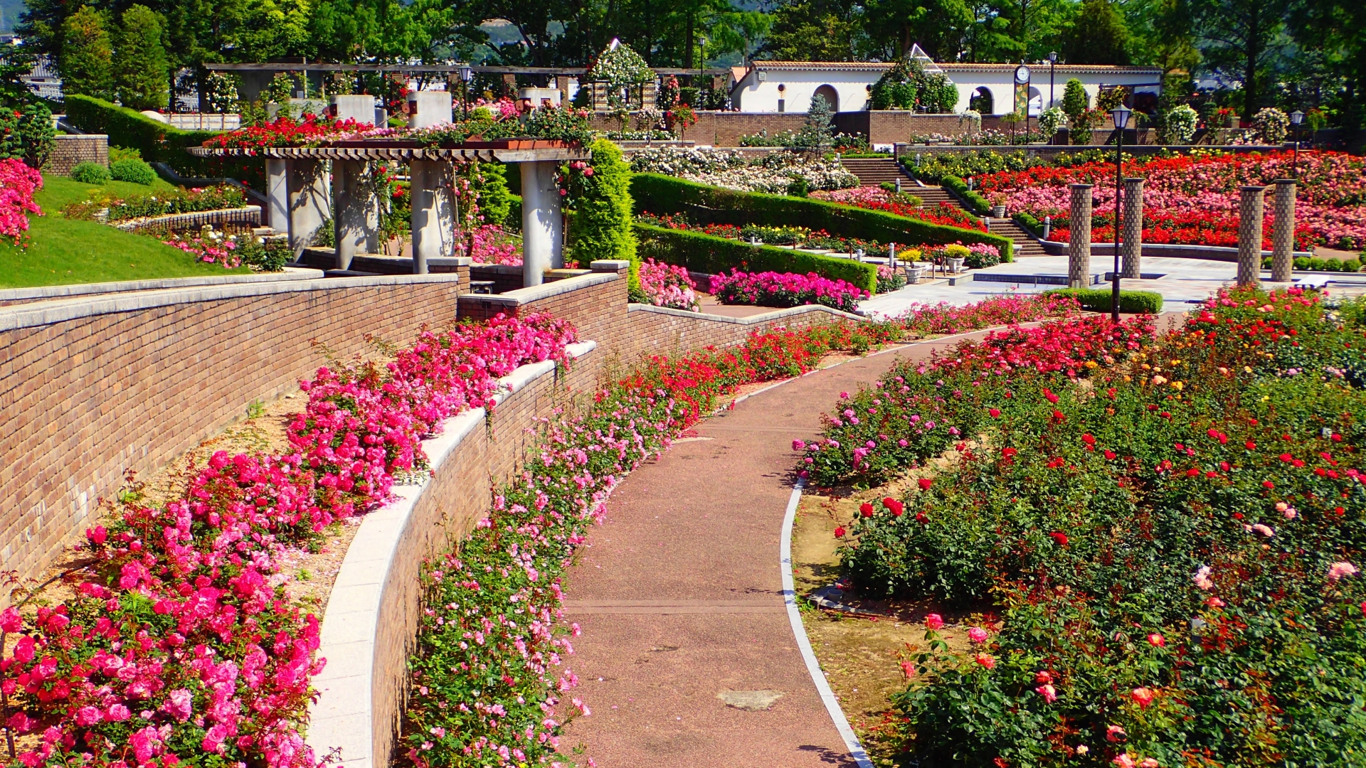 Aramaki Rose Park 2026: The Hyogo Secret That Puts Osaka’s Crowded Gardens to Shame