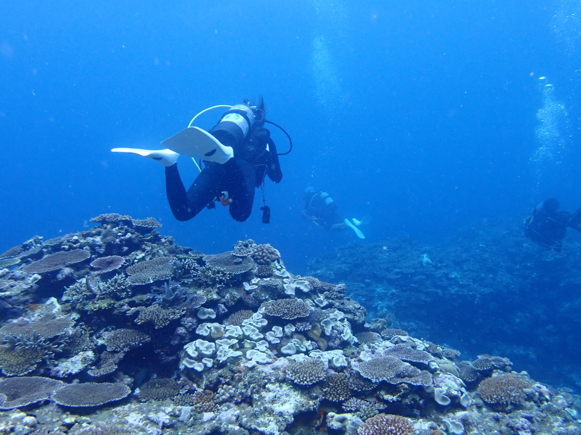 I Forgot How to Breathe in Okinawa—And Why I’d Do It All Over Again
