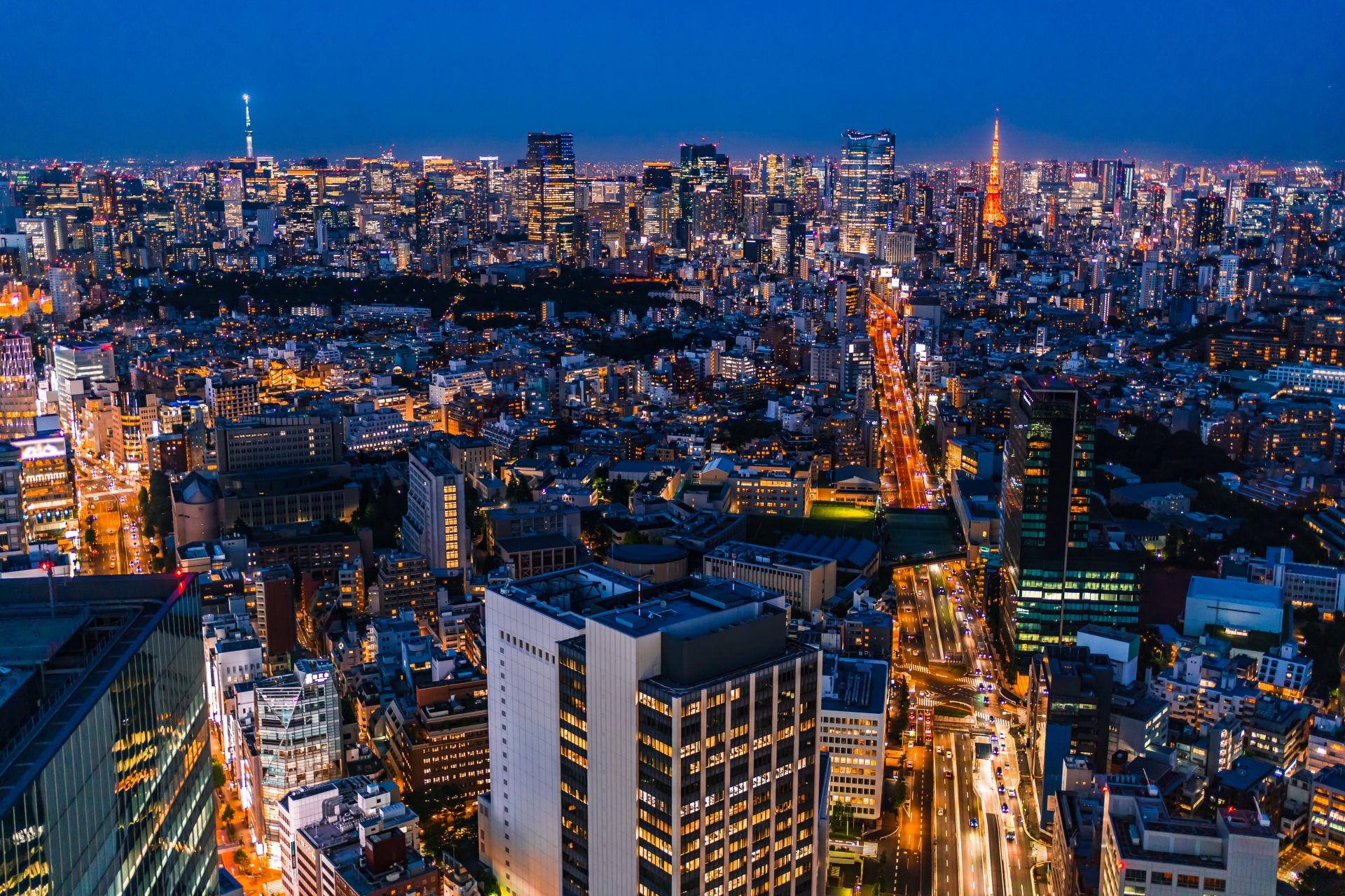 Why I Stopped Being a Snob About Tokyo’s Touristy Night Views