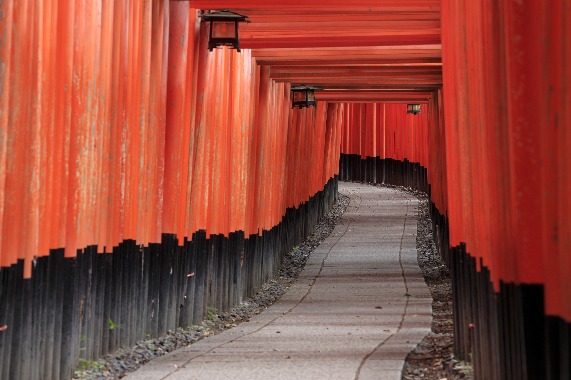 Stop Just Looking at Temples—Start Collecting Them - Horospo Guide