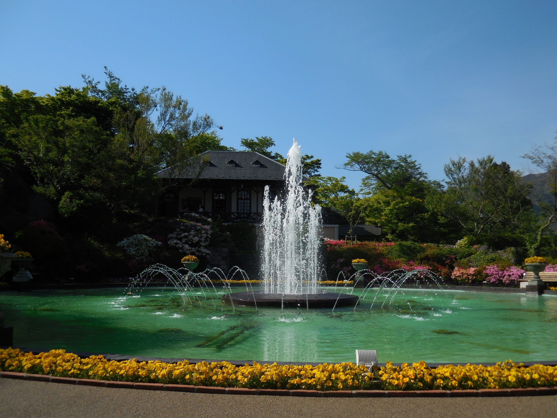 Forget the Crowds: Why Hakone Gora Park’s 2026 Rose & Hydrangea Season is My Secret Escape