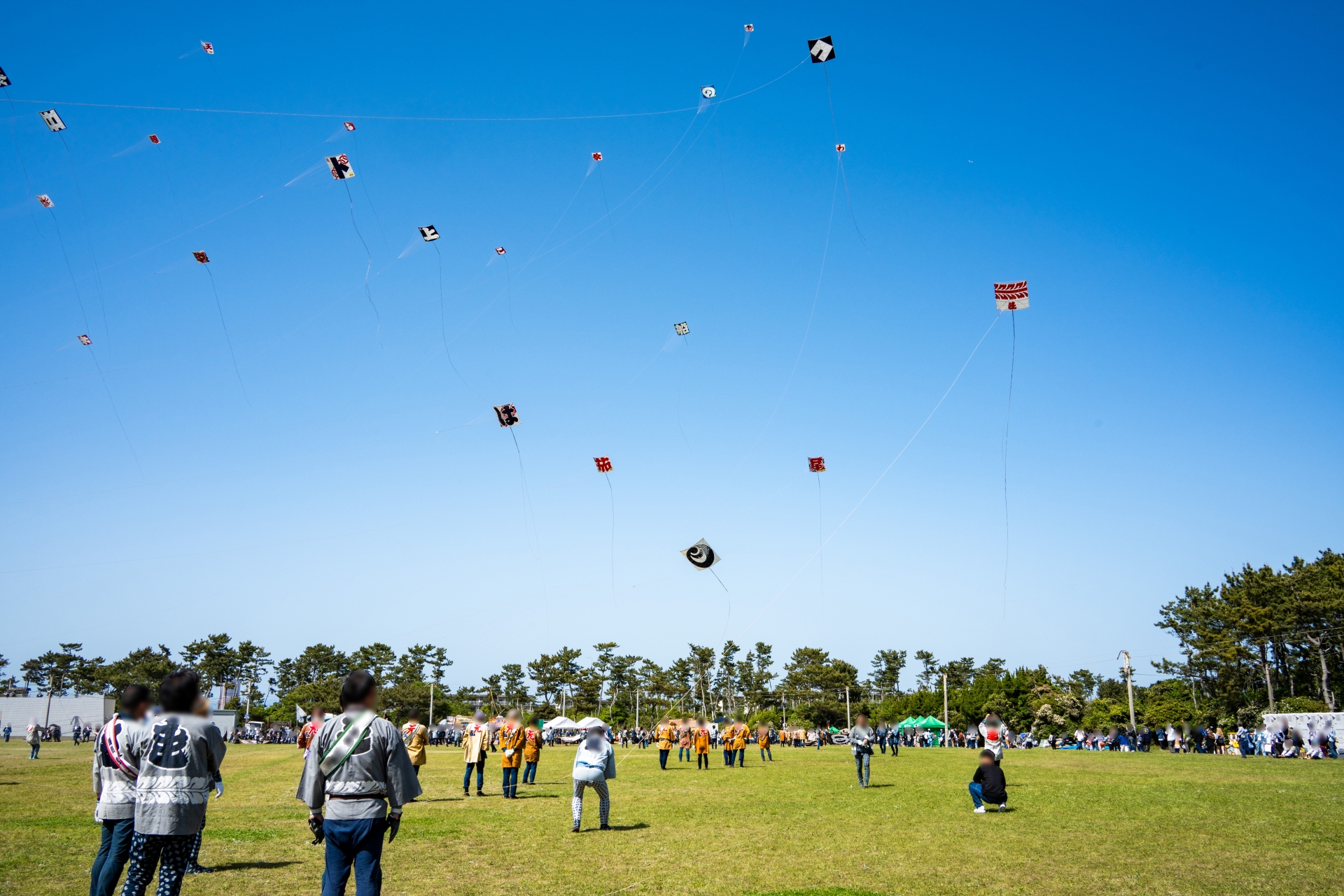 Hamamatsu Matsuri 2026: Why I’d Trade Every Cherry Blossom for This Giant Kite War