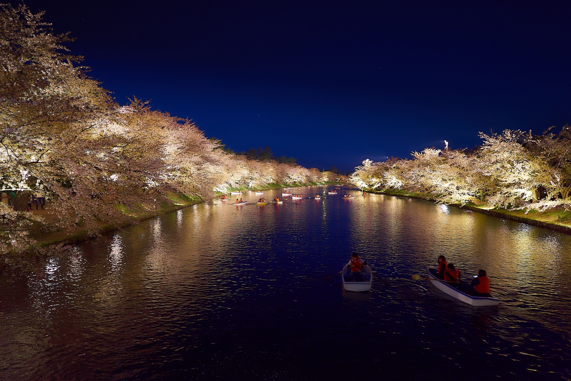 Hirosaki Cherry Blossom Festival 2026: Why I’m Skipping Tokyo to Go North (Again)