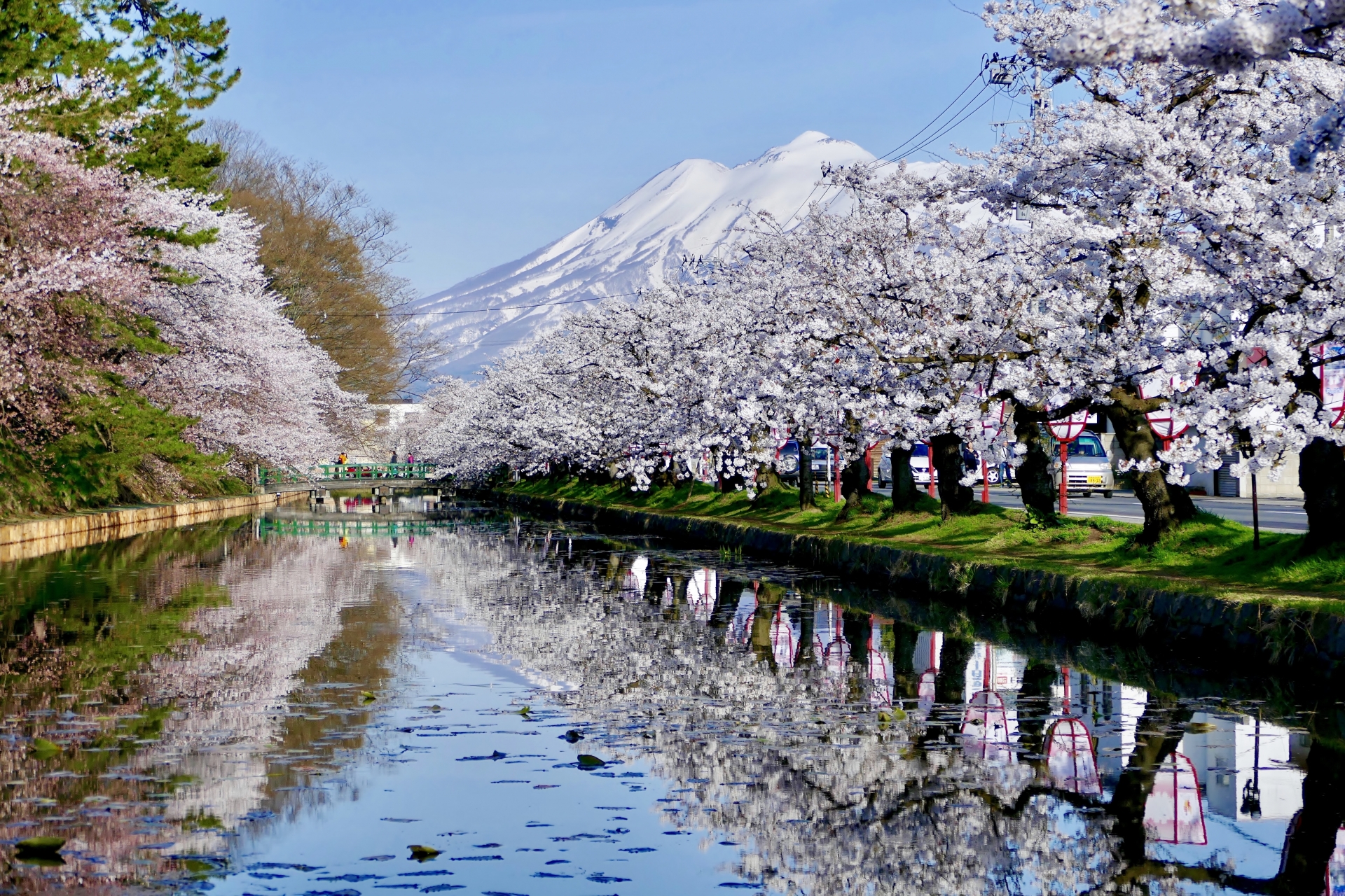 The Pink Moats of Hirosaki: The Final Boss of Japanese Sakura - Horospo Guide