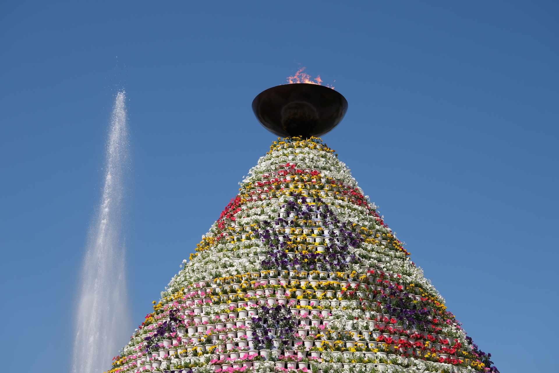 Flowers, Fire, and 1.6 Million People - Horospo Guide