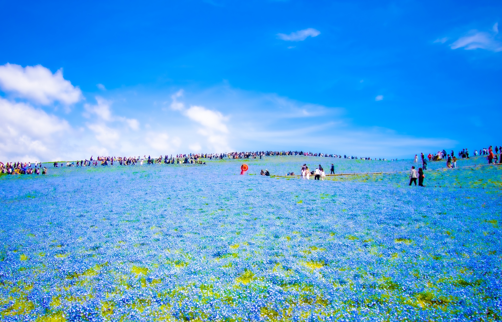 A Sea of Blue You Won’t Believe is Real - Horospo Guide