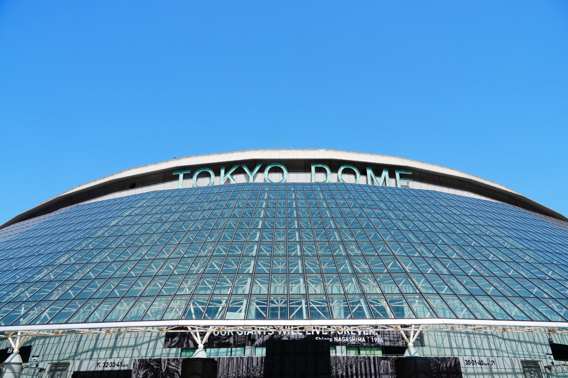 I Lost My Voice at a Hanshin Tigers Game – Why Japanese Baseball is the Best Night Out You’ll Ever Have