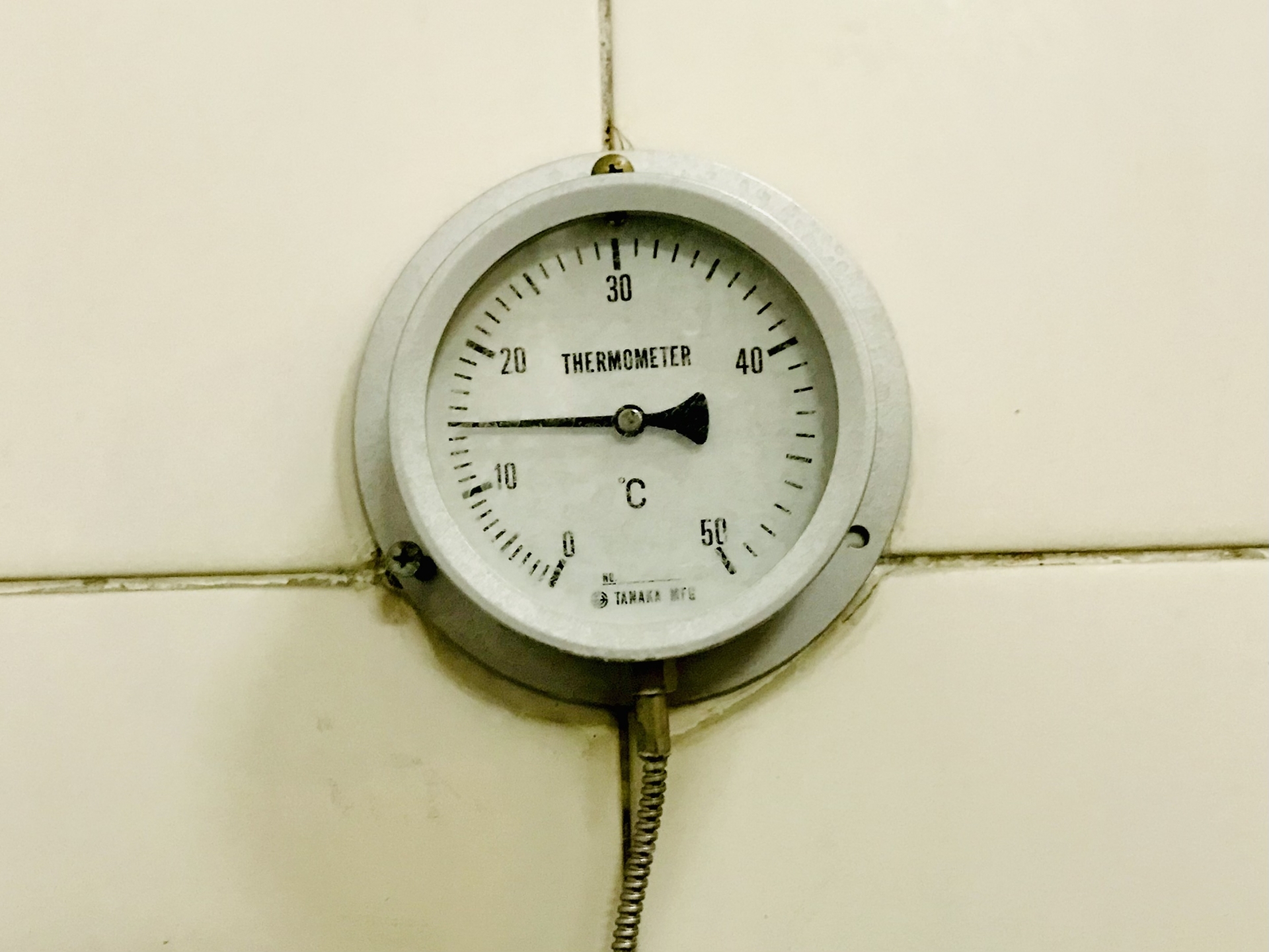 The Art of the 'Reset': Finding Nirvana in a Shinjuku Steam Room - Horospo Guide