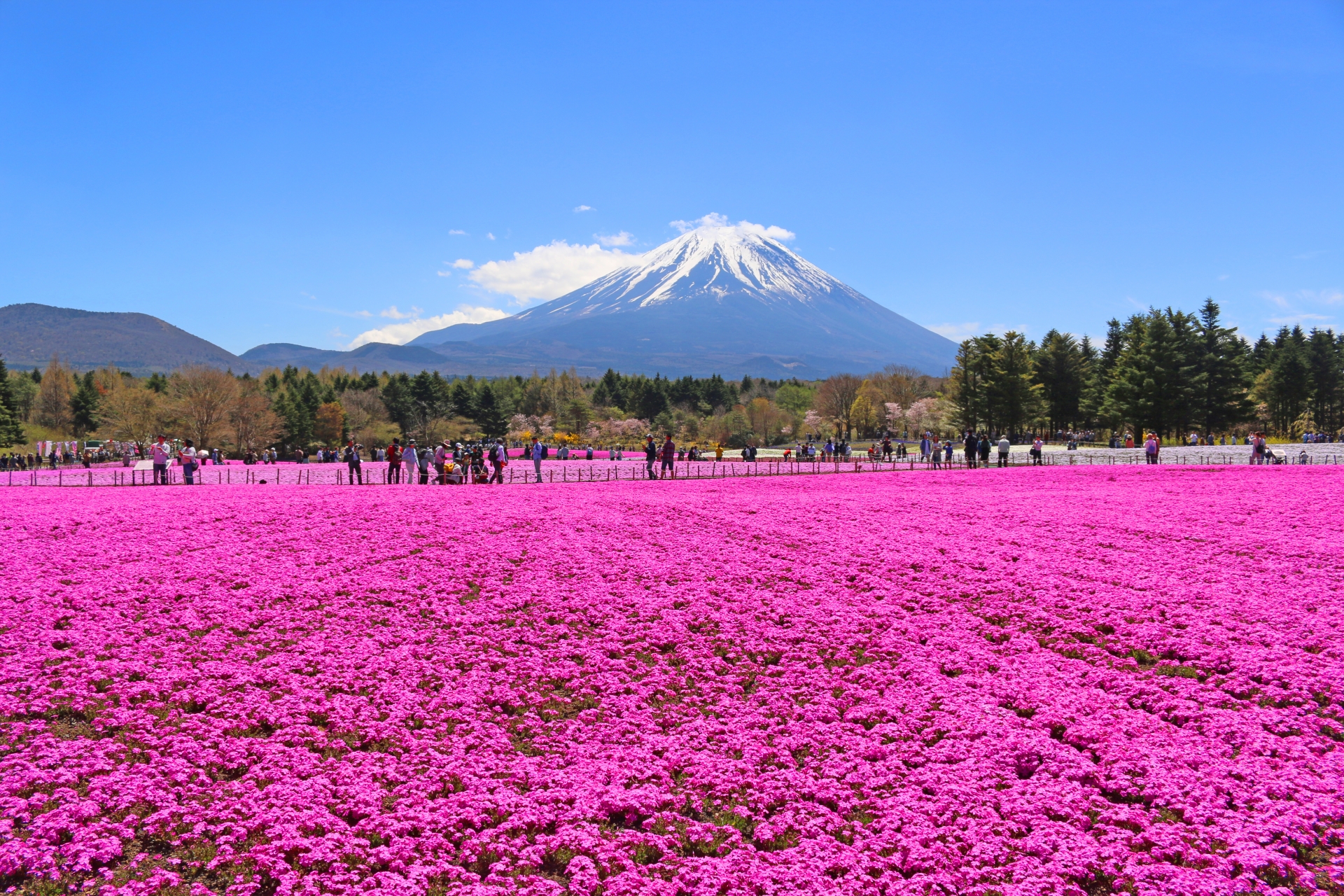 The Mountain Doesn't Care About Your Schedule | Horospo Event Guide