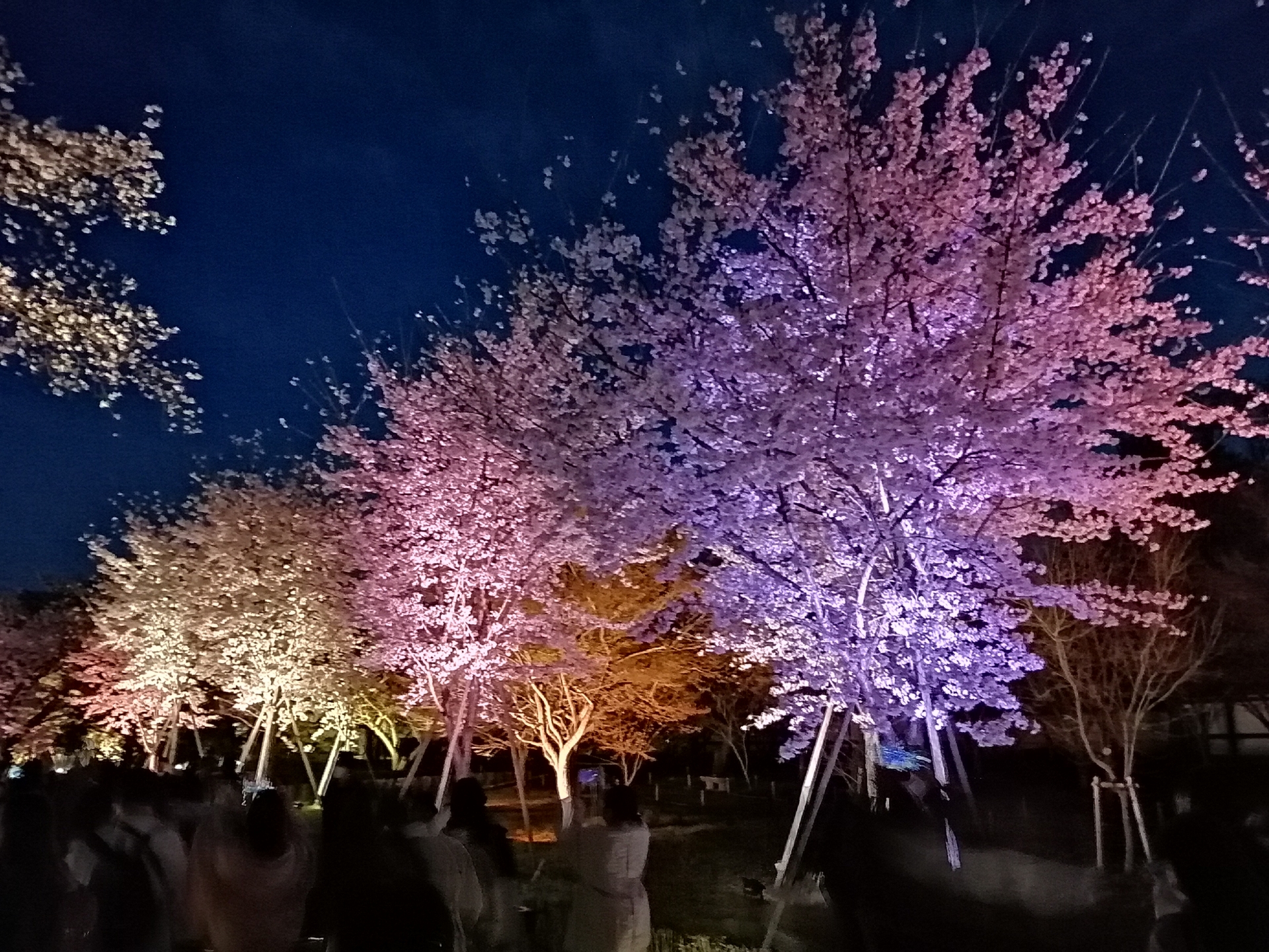 When the Shogun’s Walls Start to Breathe - Horospo Guide