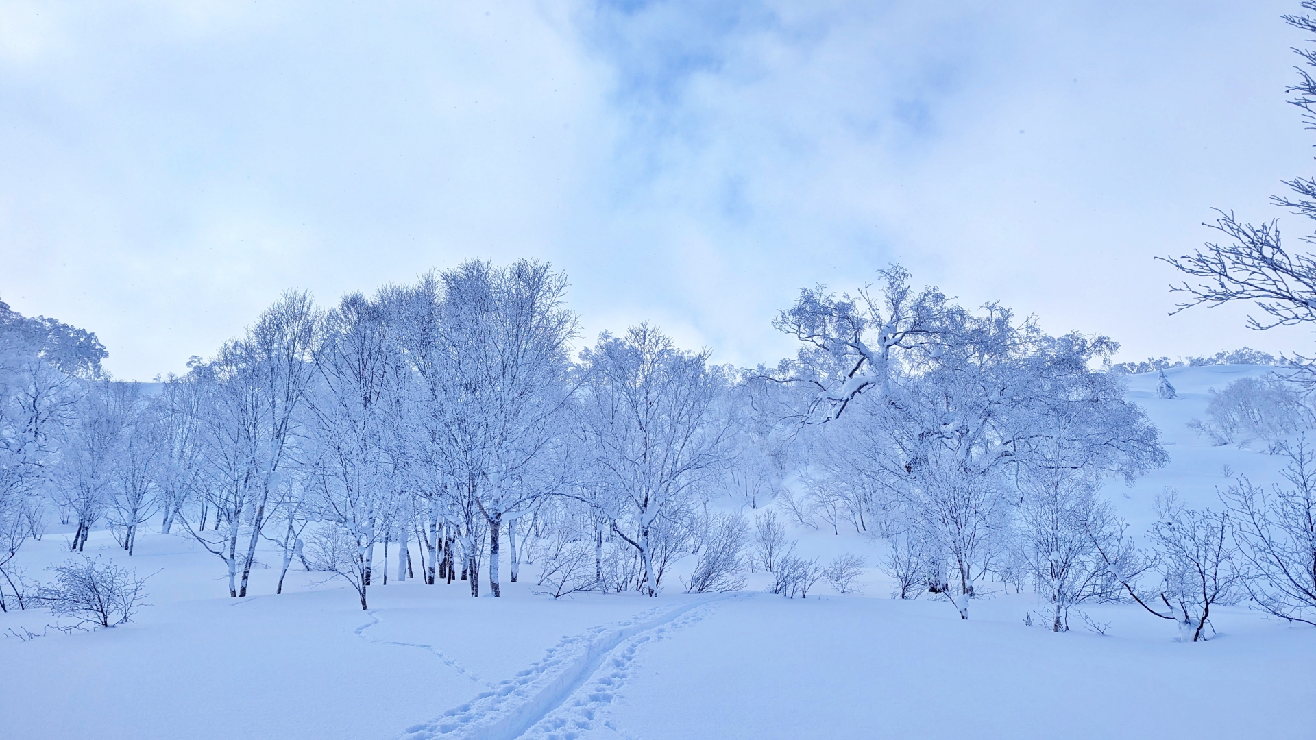 I Almost Chickened Out of This Backcountry Tour—Now I’ll Never Ski a Resort Again