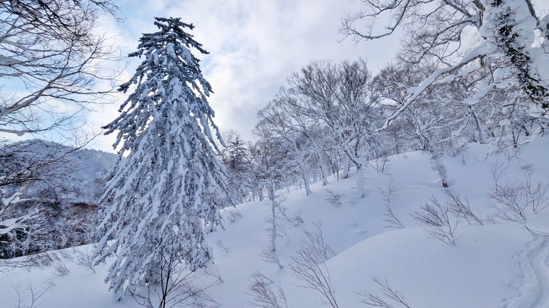 The Silence of the Deep Powder - Horospo Guide