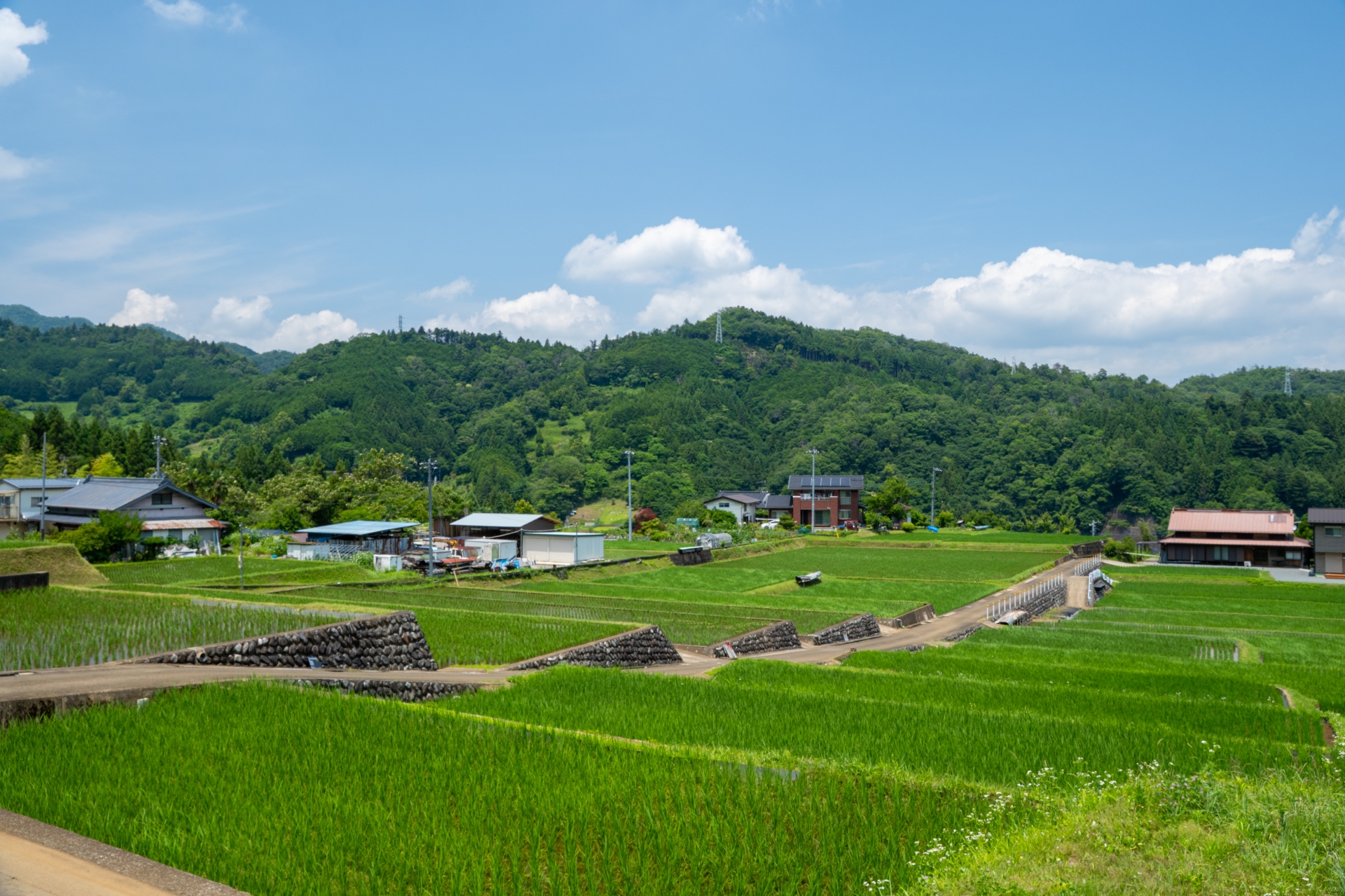 I Traded My Shinkansen Ticket for a Mud Bath—And Found the Real Japan in Nagano