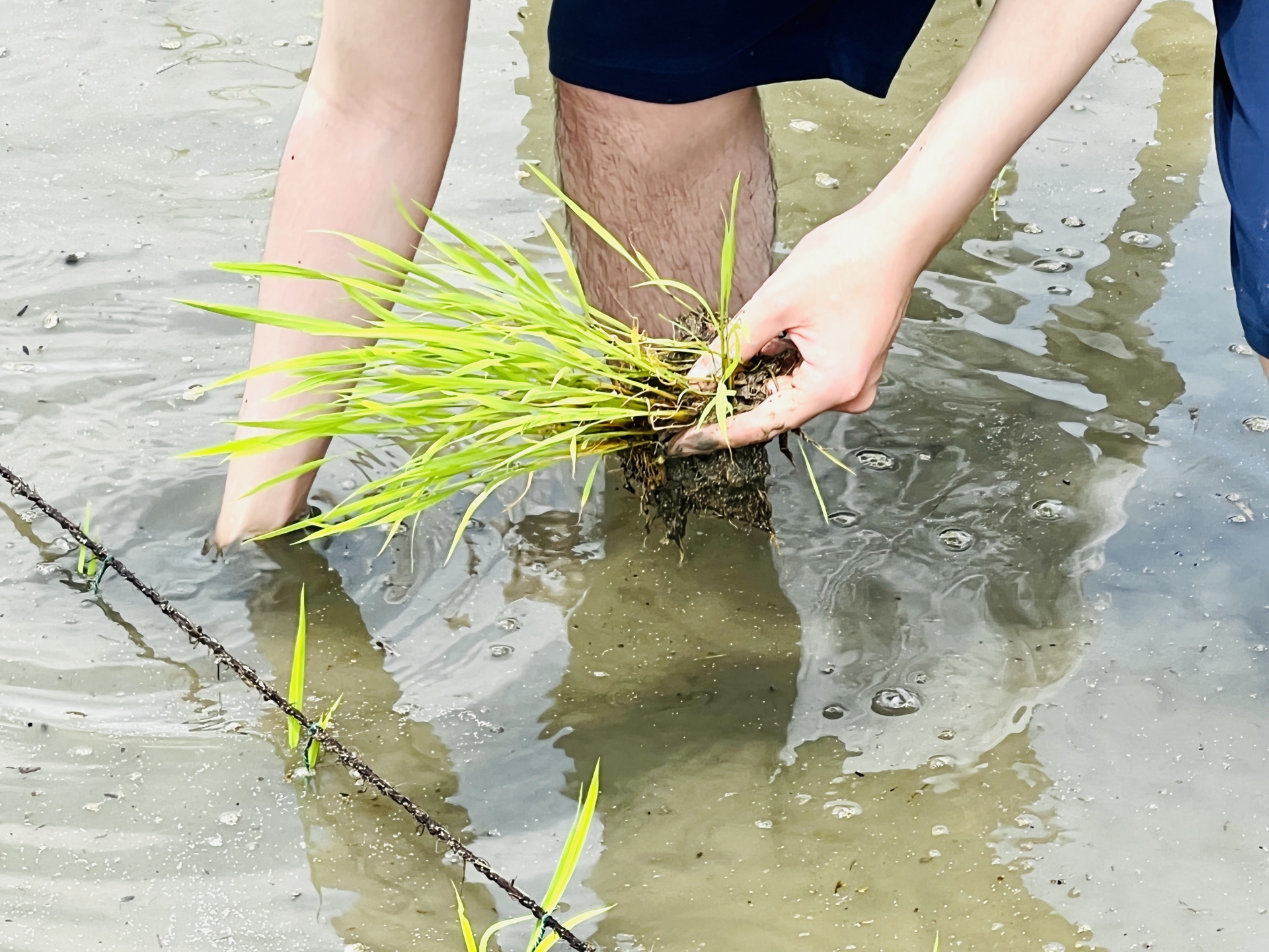 The Mud, The Miso, and The Most Honest Weekend of My Life - Horospo Guide