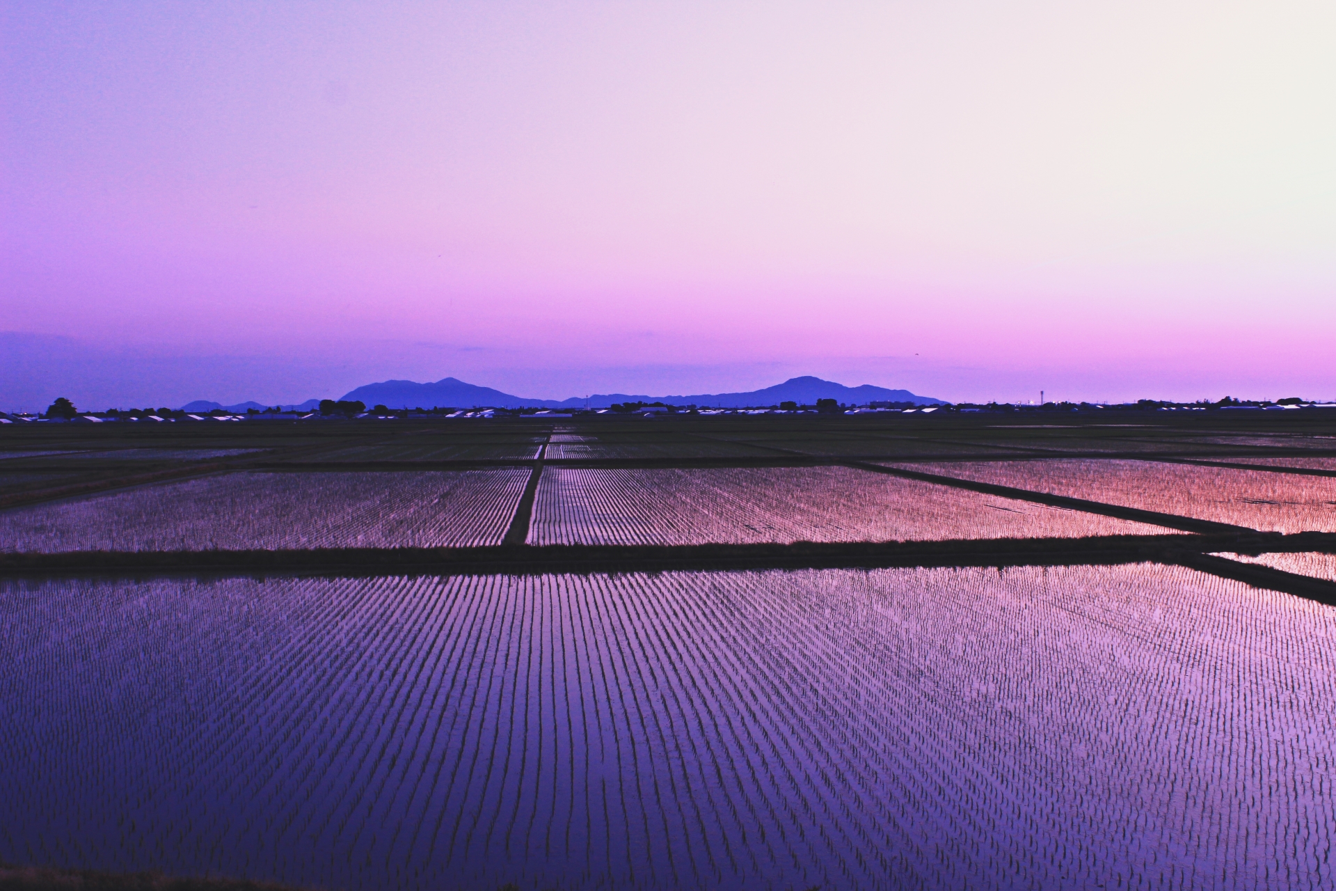 I Traded My Shinjuku Suite for a Hoe and a Grandma’s Kitchen in Rural Japan