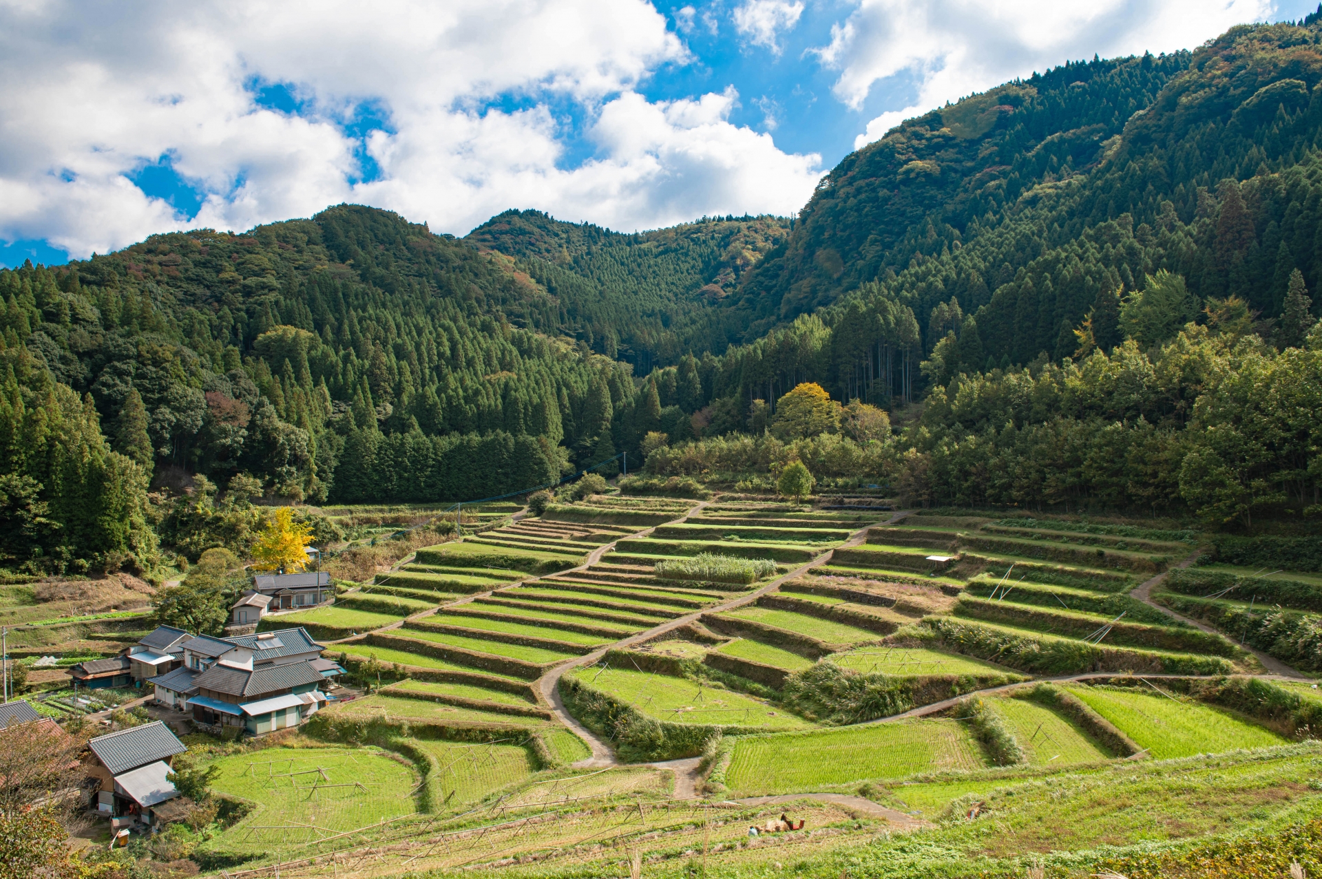 Mud, Sweat, and the Best Meal of My Life - Horospo Guide