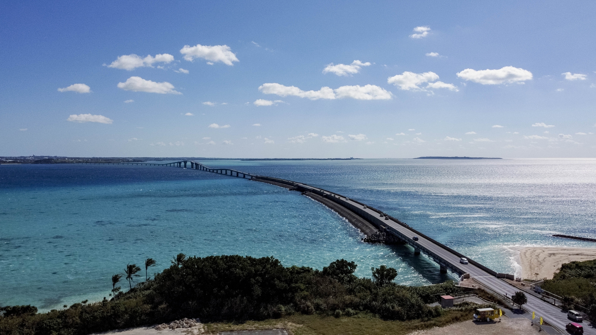 I Swam with Sea Turtles in Okinawa and Honestly, I Forgot to Breathe