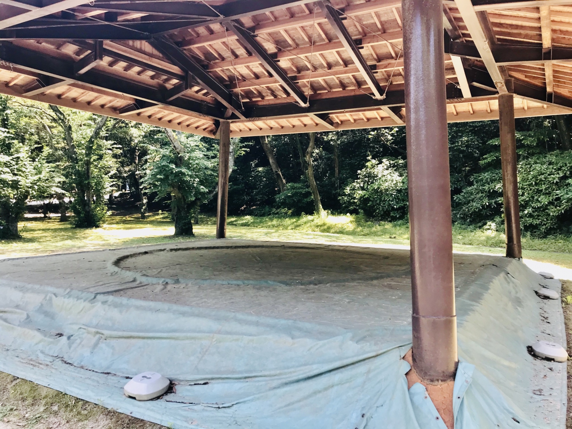 I Watched 300lb Men Smash Into Each Other at 7 AM – Here’s Why You Should Too