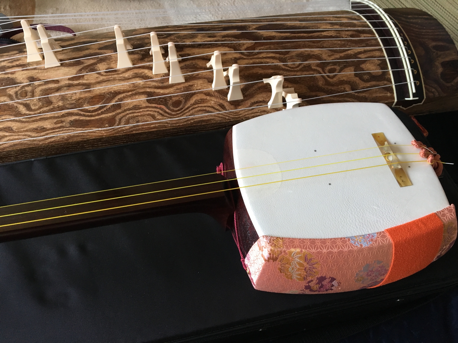 Feel the Vibration in Your Bones | Horospo Event Guide