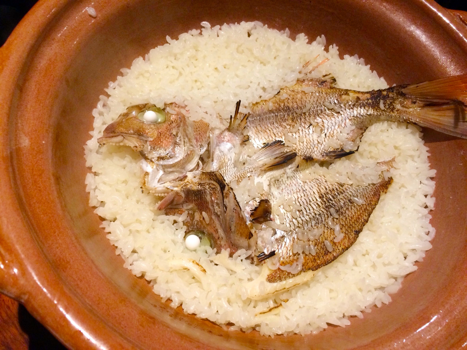Famous Local Specialty: Akashi Sea Bream (Tai-meshi) in Akashi Park