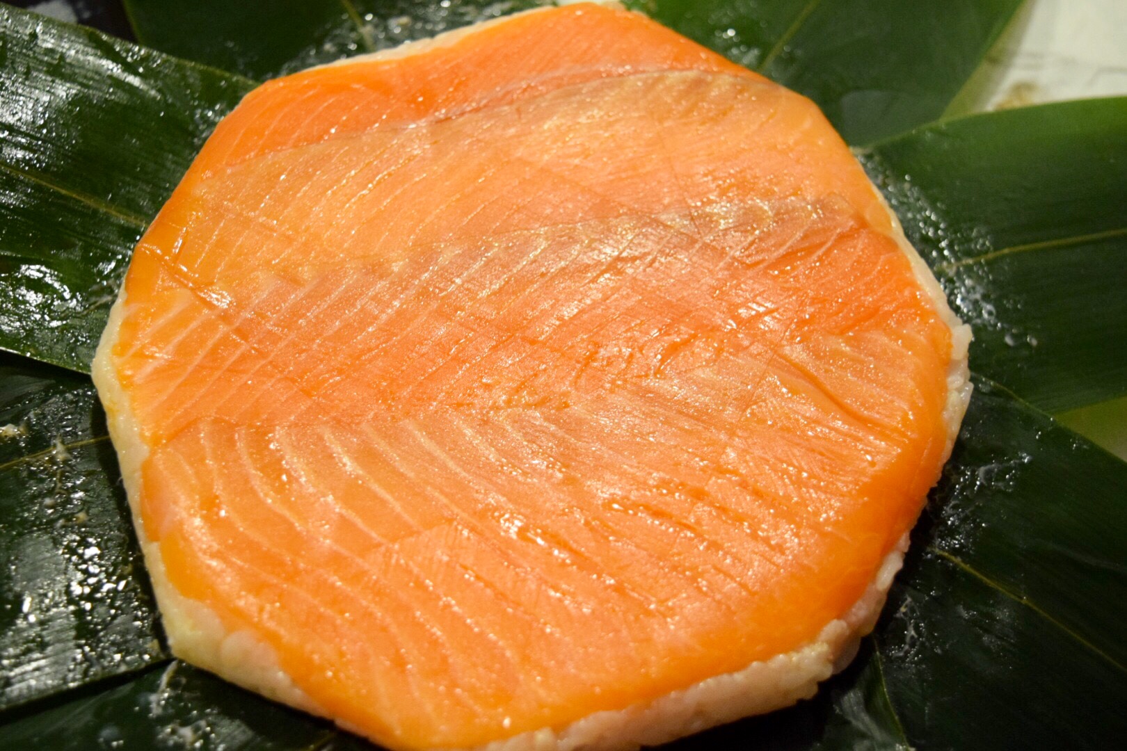 Famous Local Specialty: Masu-no-Sushi (Trout Sushi) in Amaharashi Coast