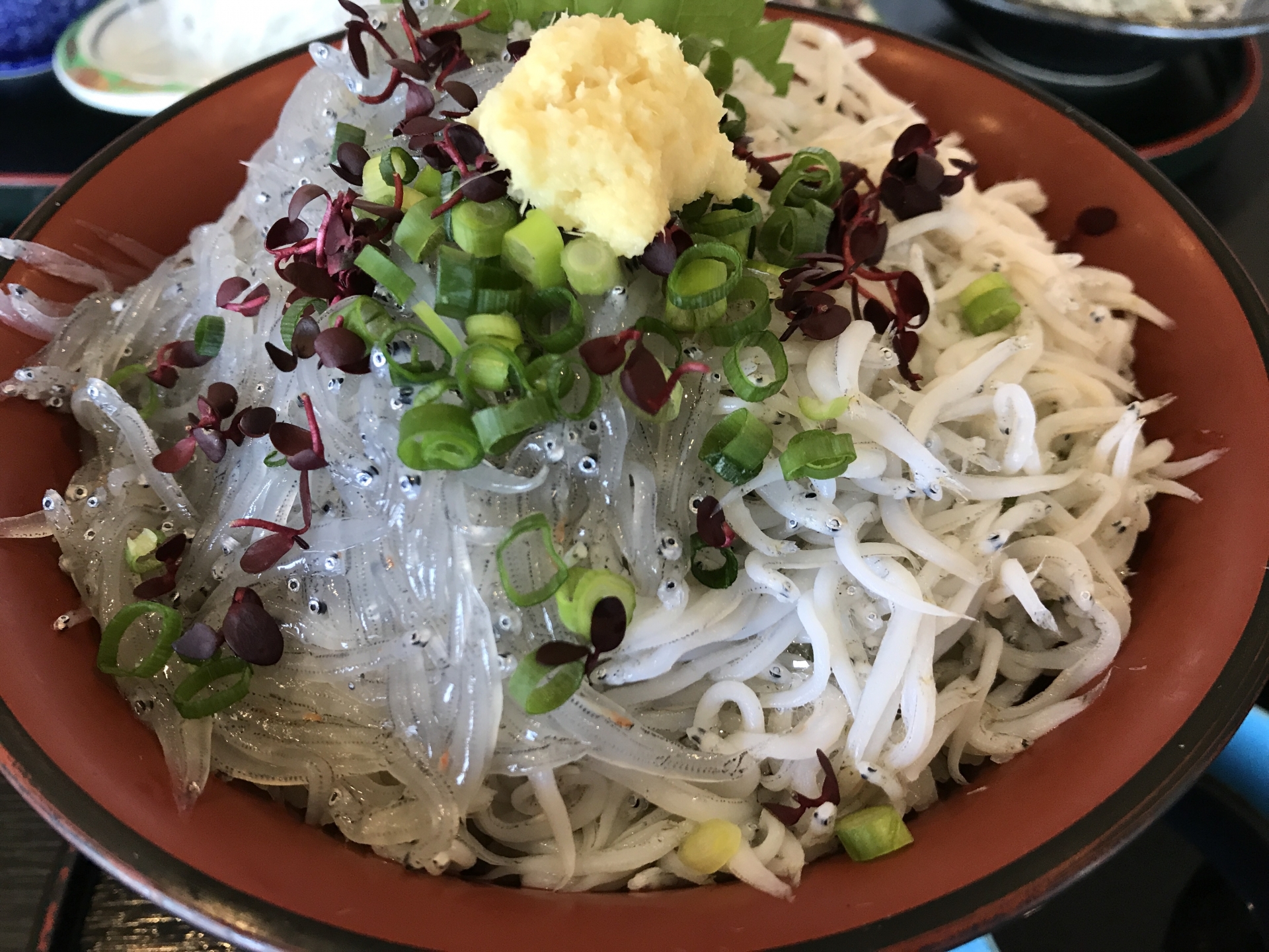 Famous Local Specialty: Fresh Shirasu-don (Whitebait Bowl) in Enoshima Island