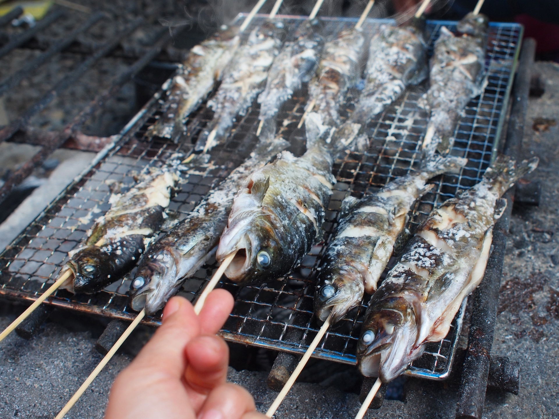 Famous Local Specialty: Niji-masu (Rainbow Trout) Salt-Grill in Fujinomiya Sengen Shrine