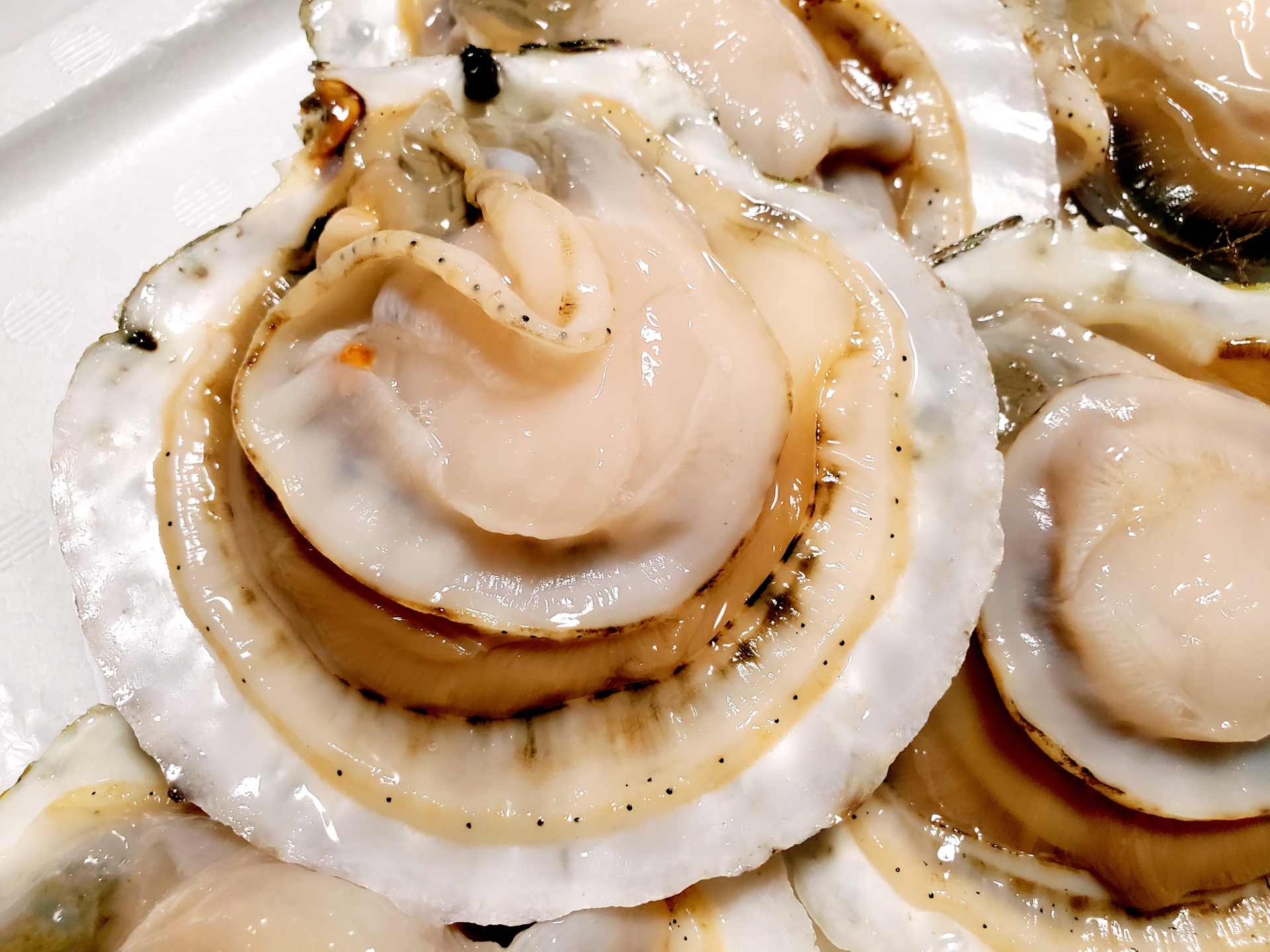 Famous Local Specialty: Mutsu Bay Scallops (Hotate) in Furukawa Fish Market