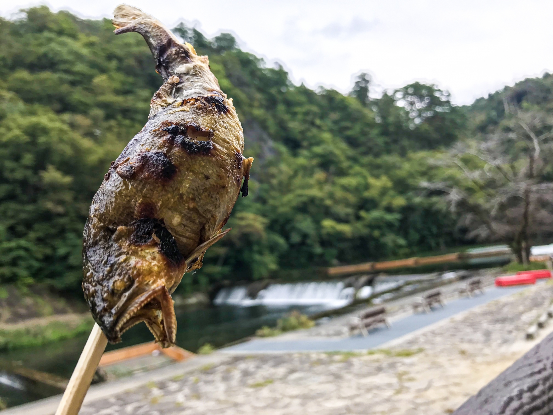 Famous Local Specialty: Salt-Grilled Ayuyaki (Sweetfish) in Geibikei Gorge