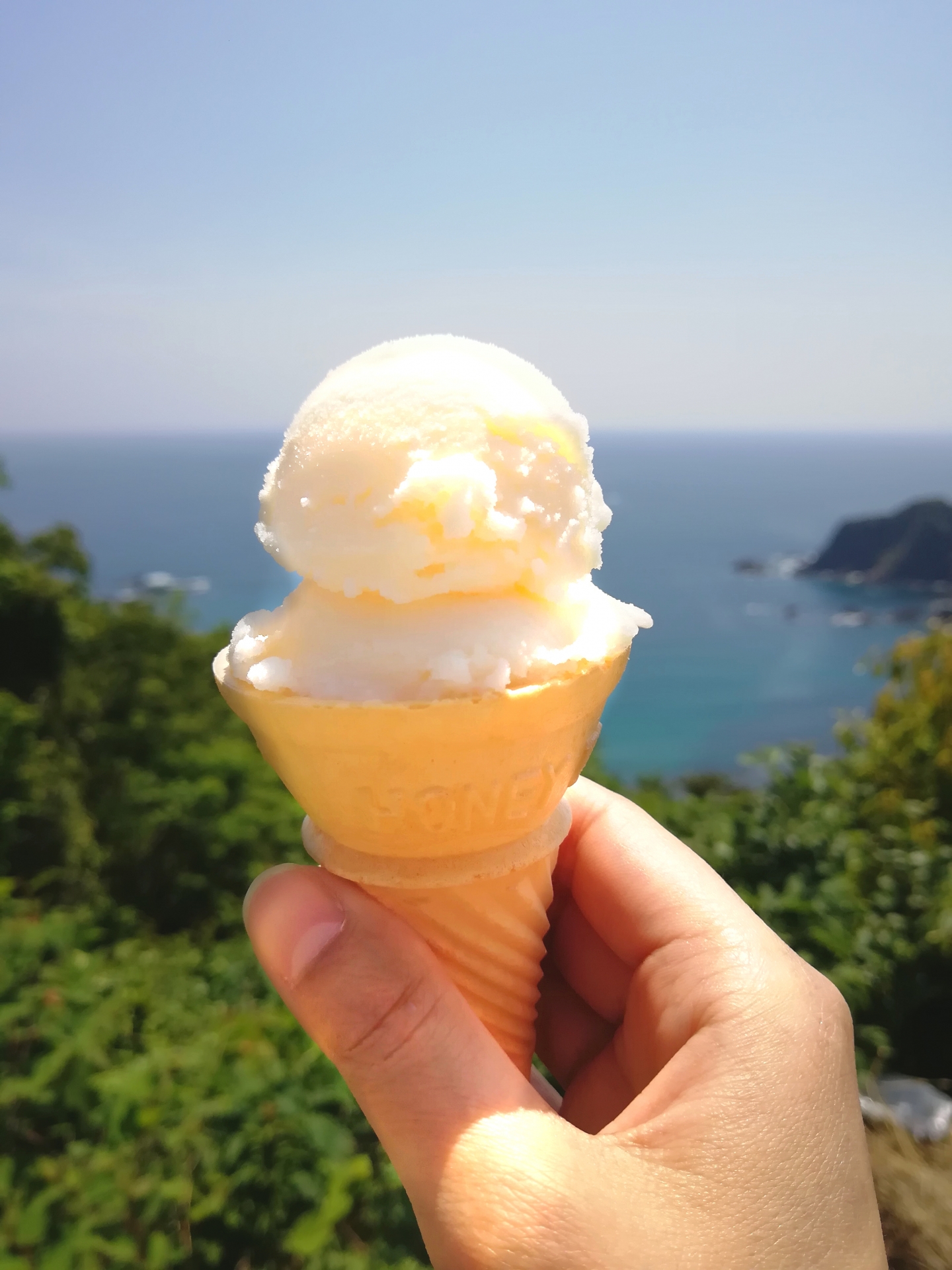 Famous Local Specialty: Kochi Aisu-kurin in Hirome Market