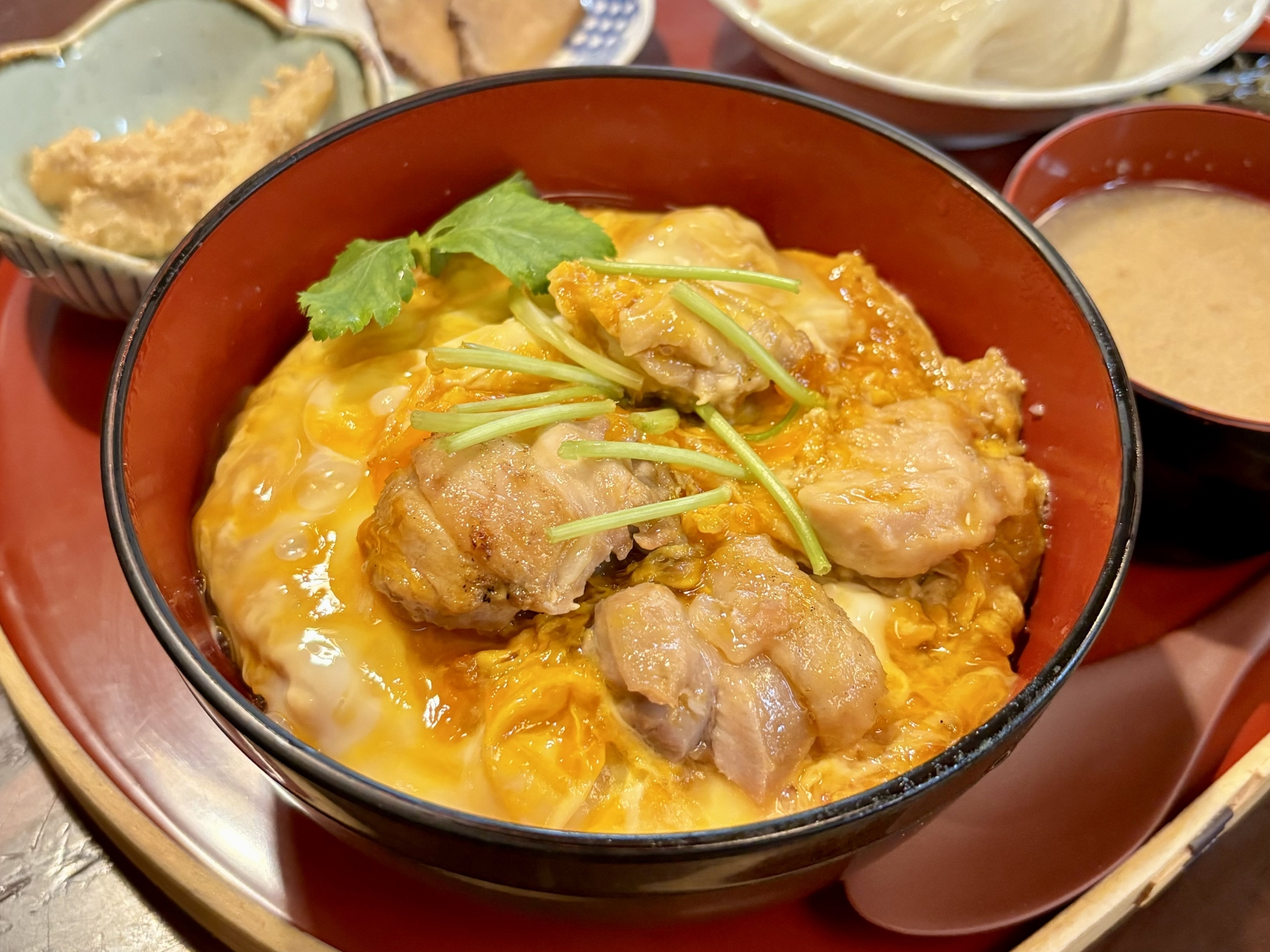Famous Local Specialty: Hinai Jidori Oyakodon in Kakunodate