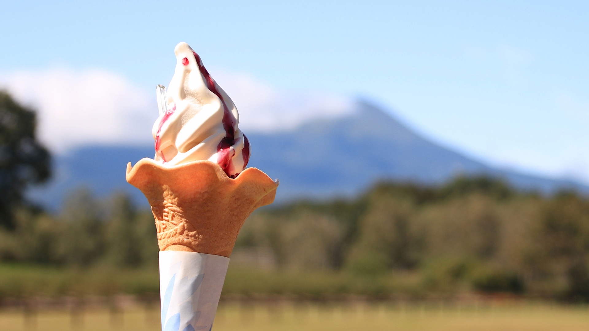 Famous Local Specialty: Asagiri Plateau Milk Soft Serve in Lake Tanuki