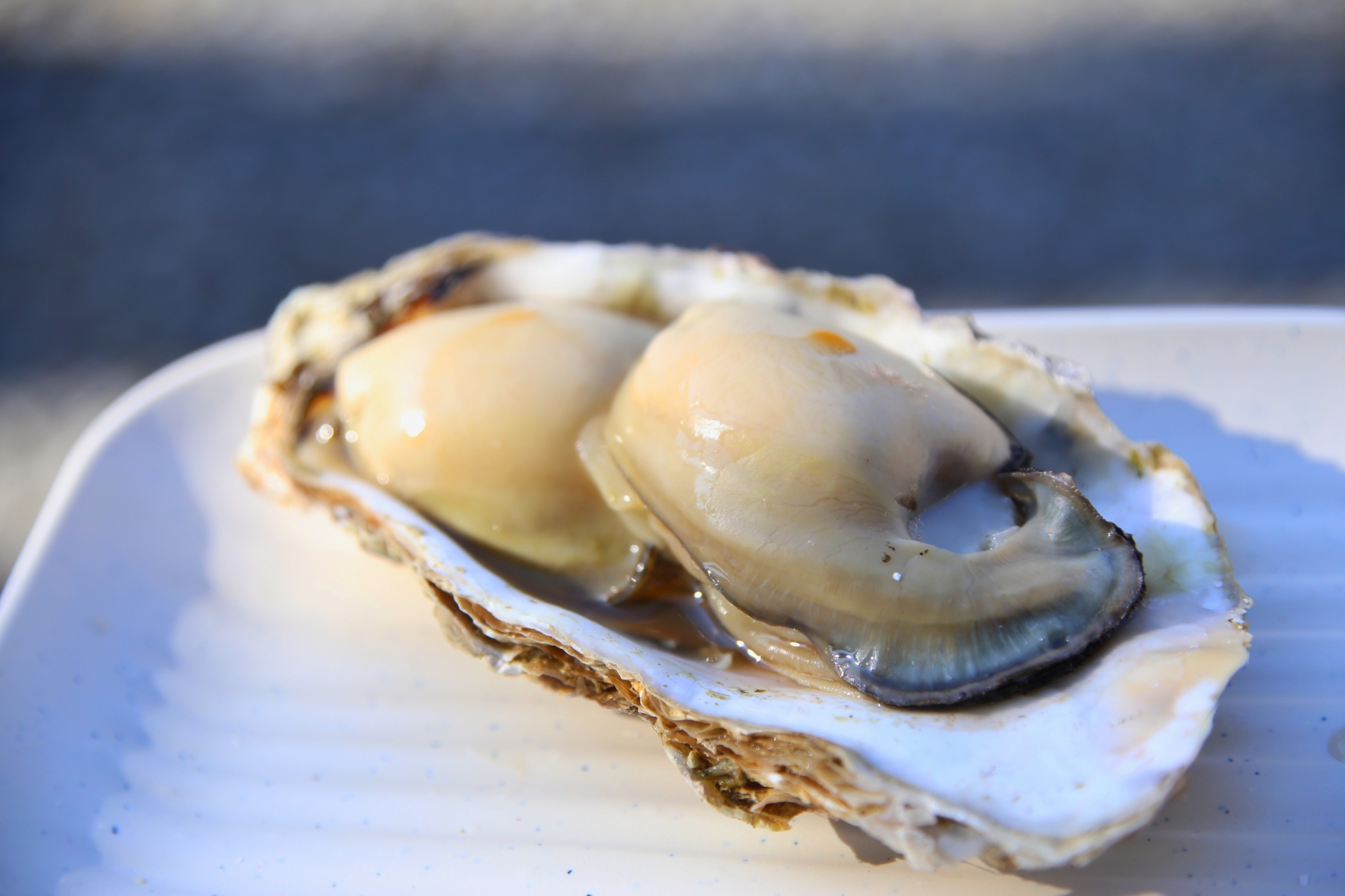 Famous Local Specialty: Grilled Matsushima Oysters in Matsushima Bay