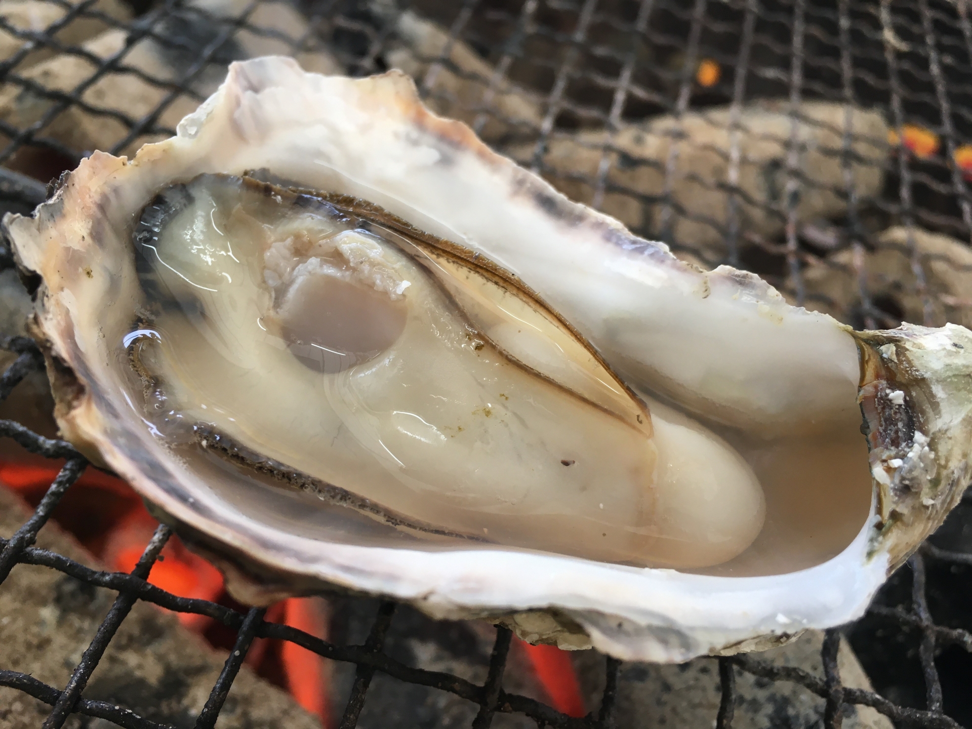 Famous Local Specialty: Charcoal-Grilled Miyajima Oysters in Miyajima Island