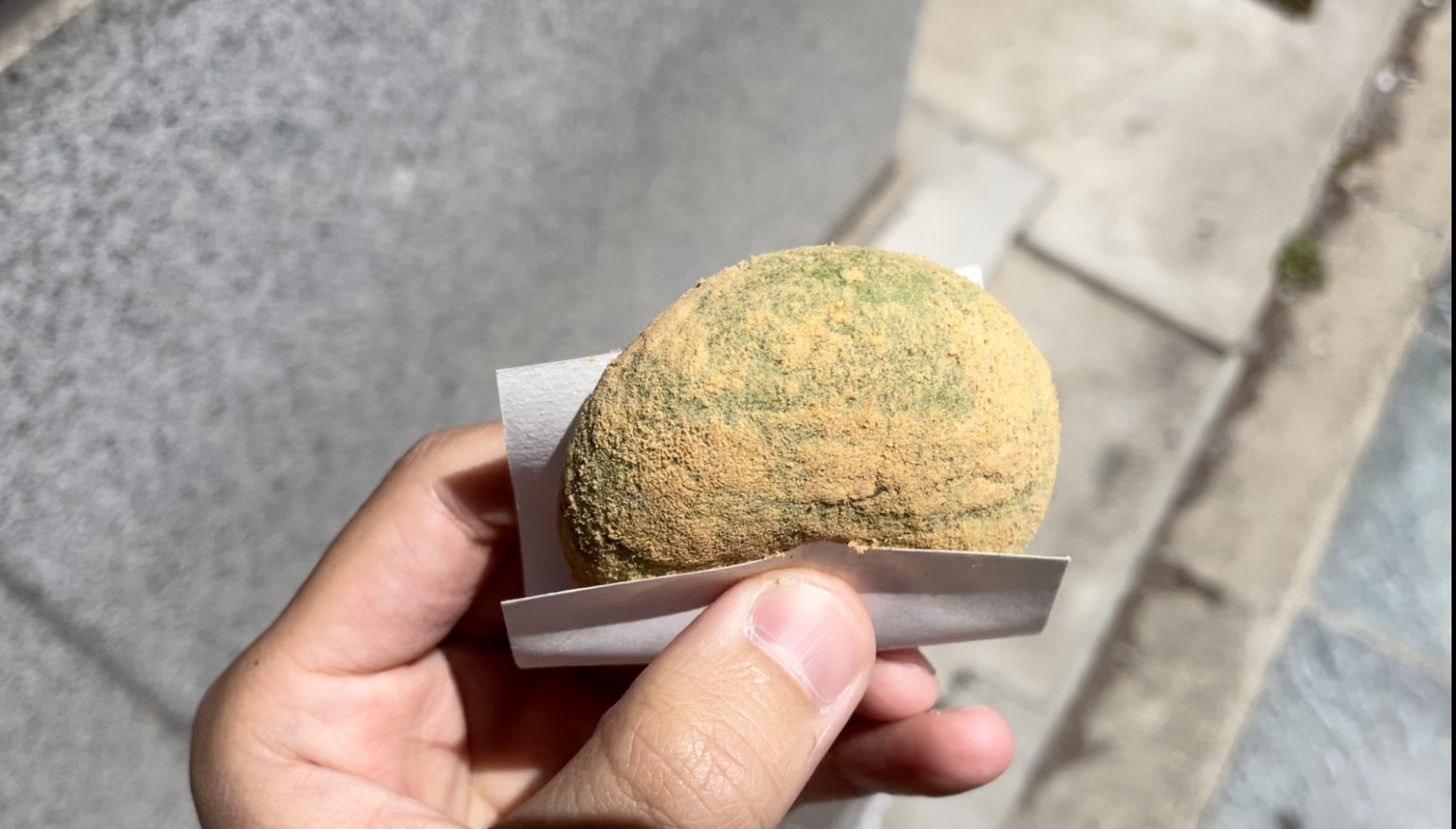 Famous Local Specialty: Nakatanidou Yomogi Mochi in Nakatanidou