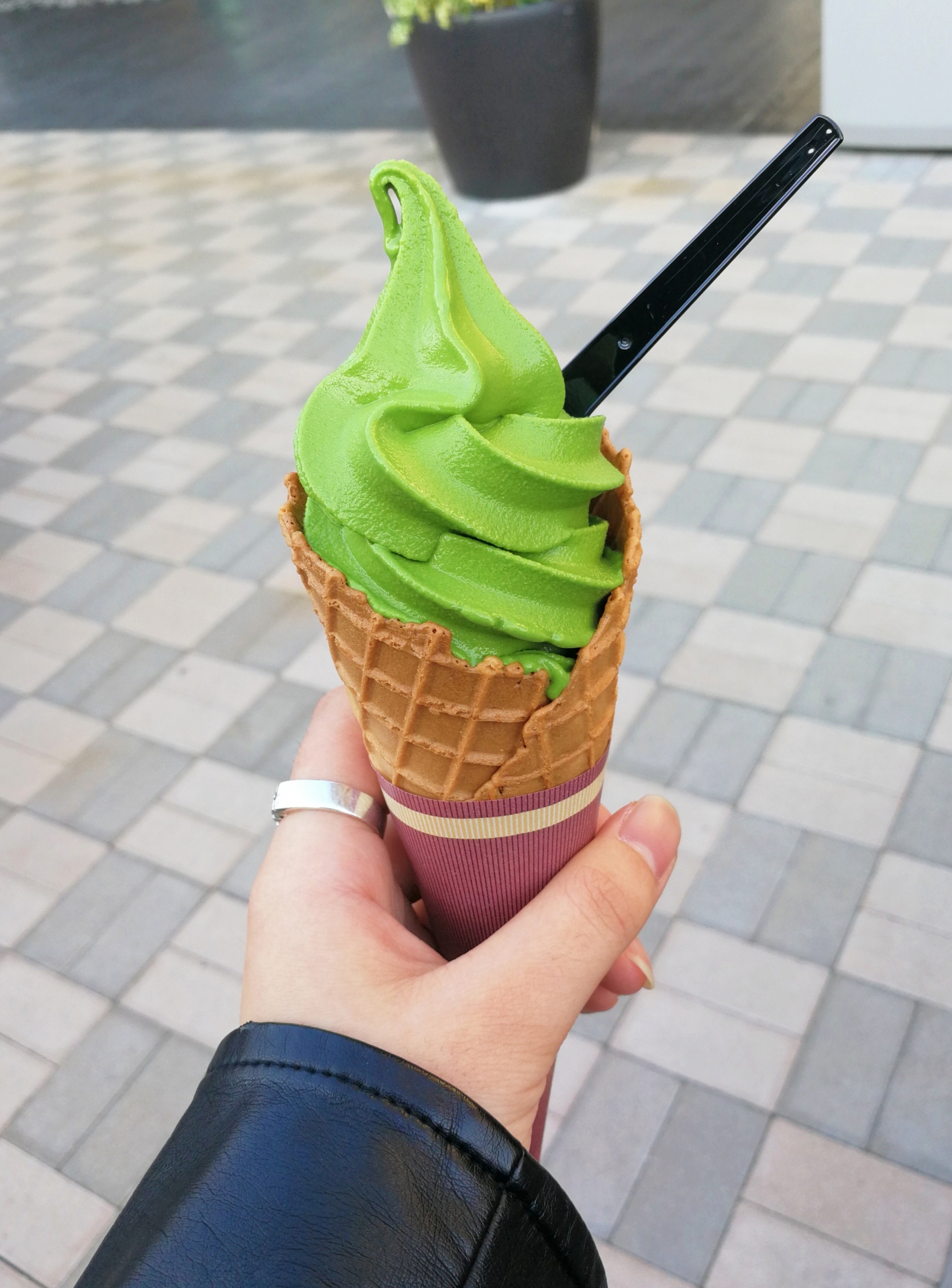 Famous Local Specialty: Nihondaira Matcha Soft Serve in Nihondaira