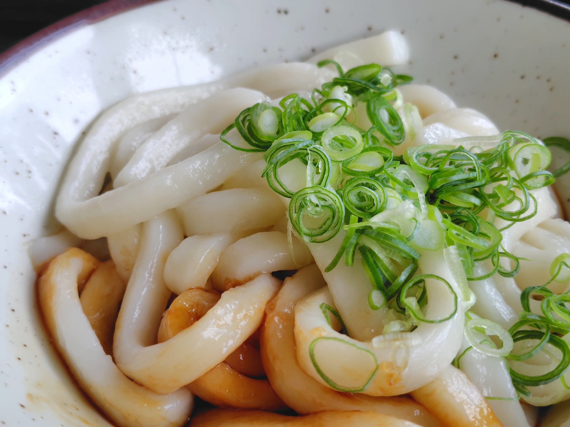 Famous Local Specialty: Ise Udon in Okage Yokocho