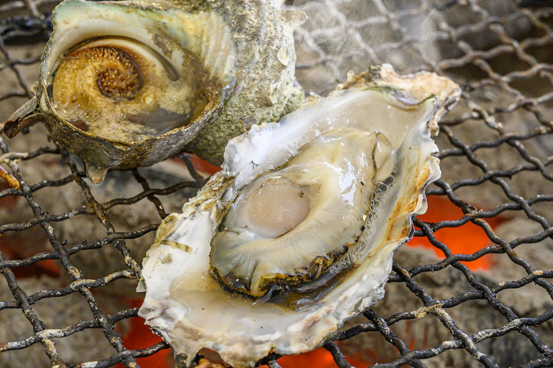 Famous Local Specialty: Grilled Seto Inland Sea Oysters in Okonomimura