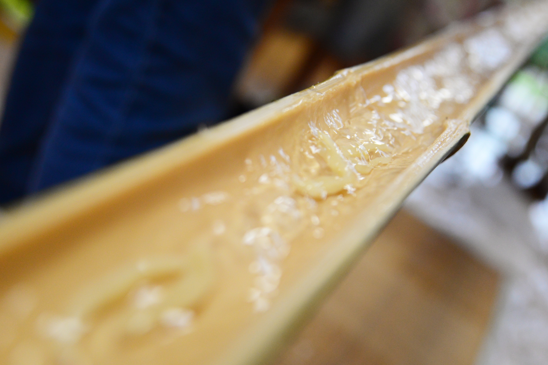 Famous Local Specialty: Nagashi Somen (Flowing Noodles) in Takachiho Gorge