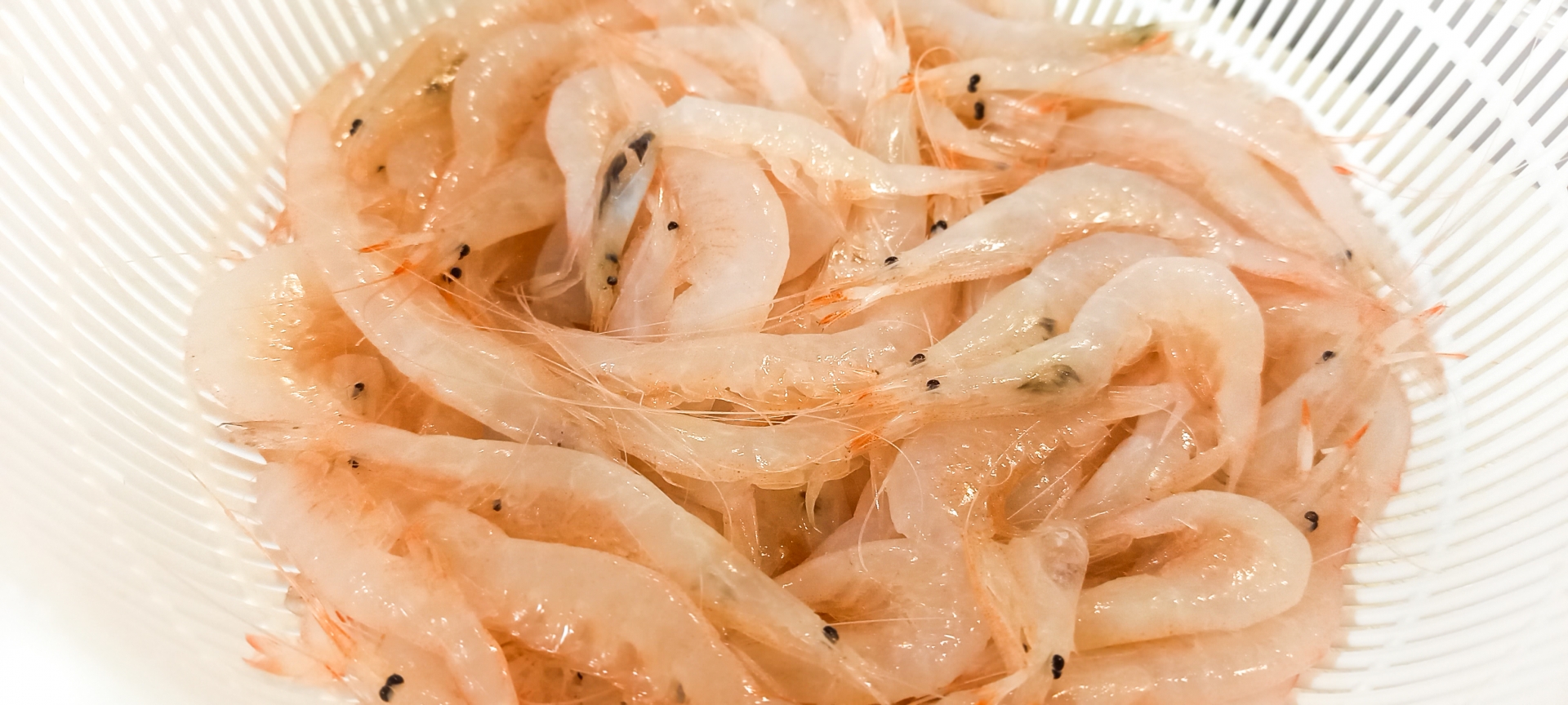 Famous Local Specialty: Shiroebi (White Shrimp) Sashimi in Toyama Castle
