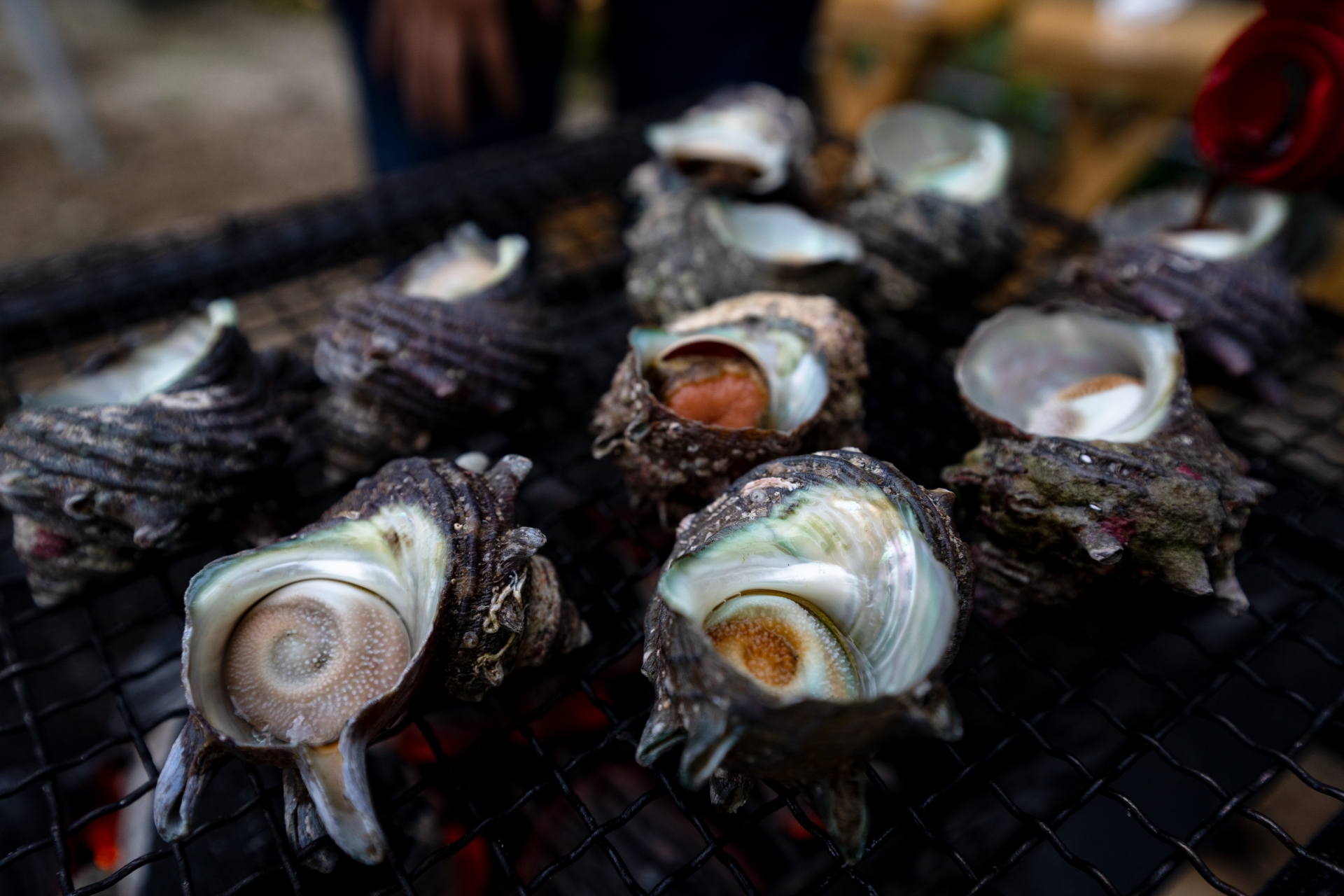 Famous Local Specialty: Grilled Sazae (Turban Shell) in Yobuko Port