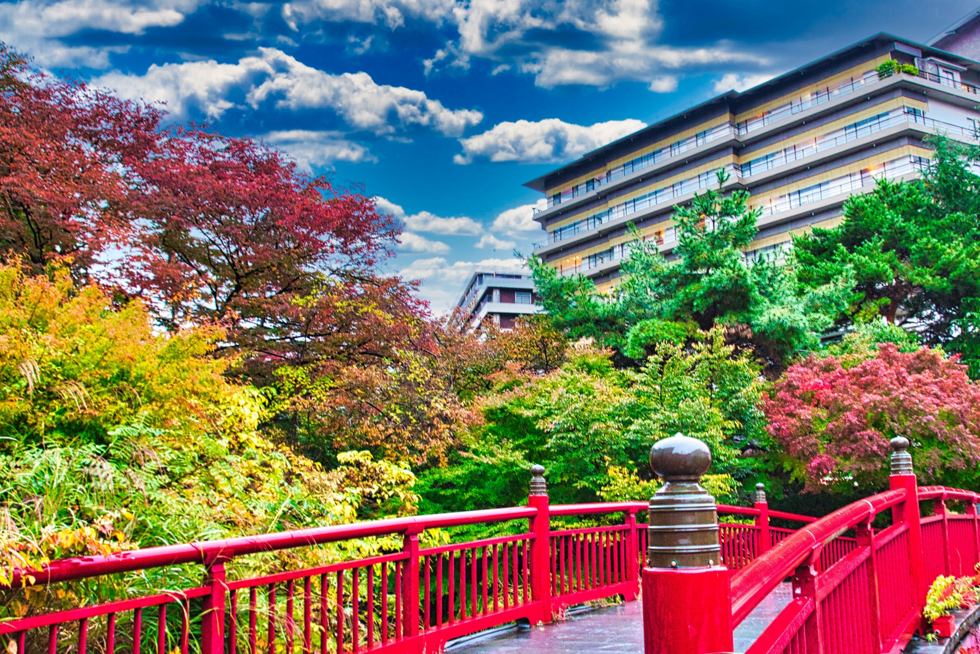 The Golden Vein of Hyogo: A Soul-Stirring Odyssey to Arima Onsen - Japan Travel Guide | HOROSPO