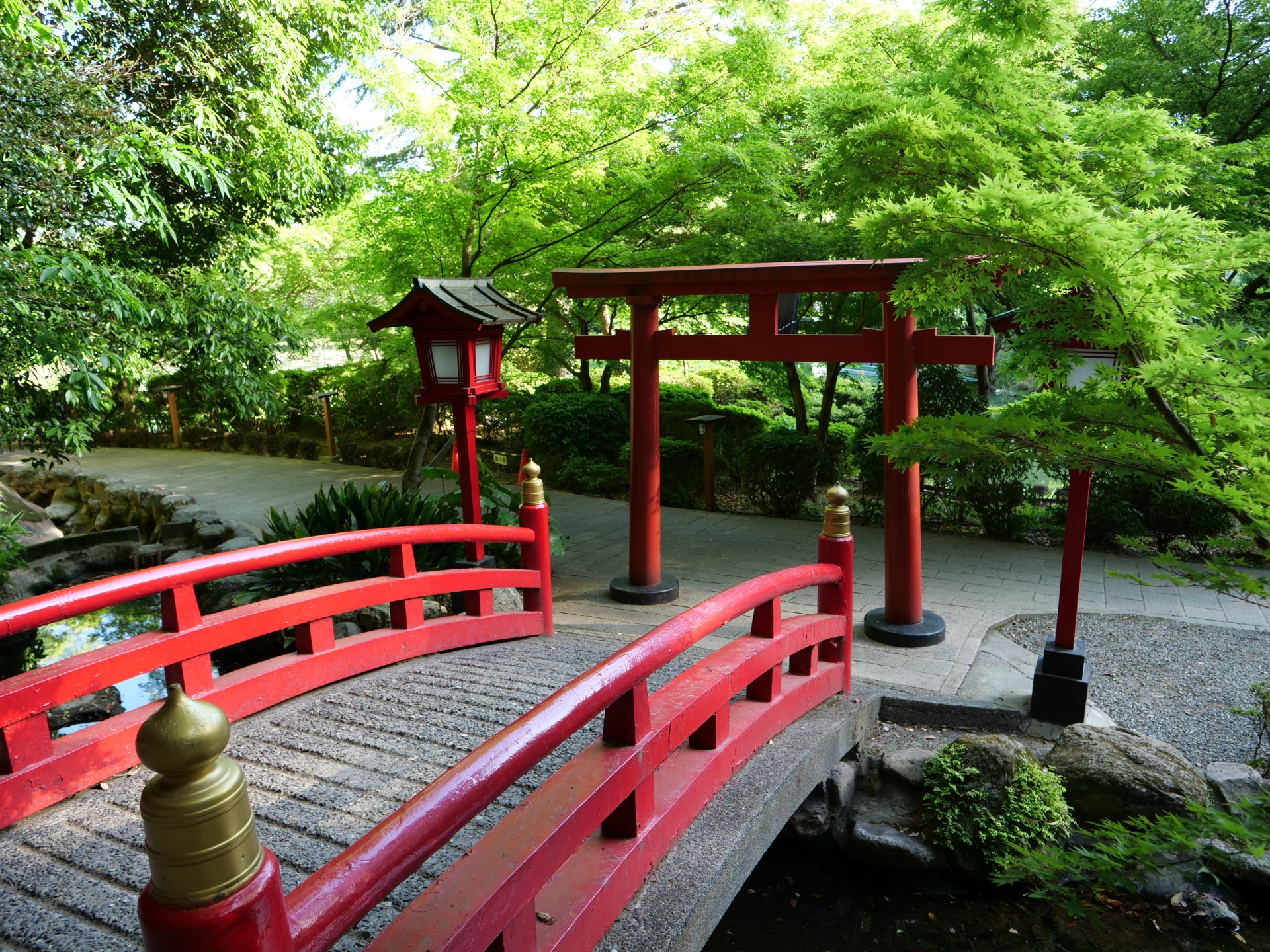 Atmospheric view of Beppu Hells - Japan Travel Guide