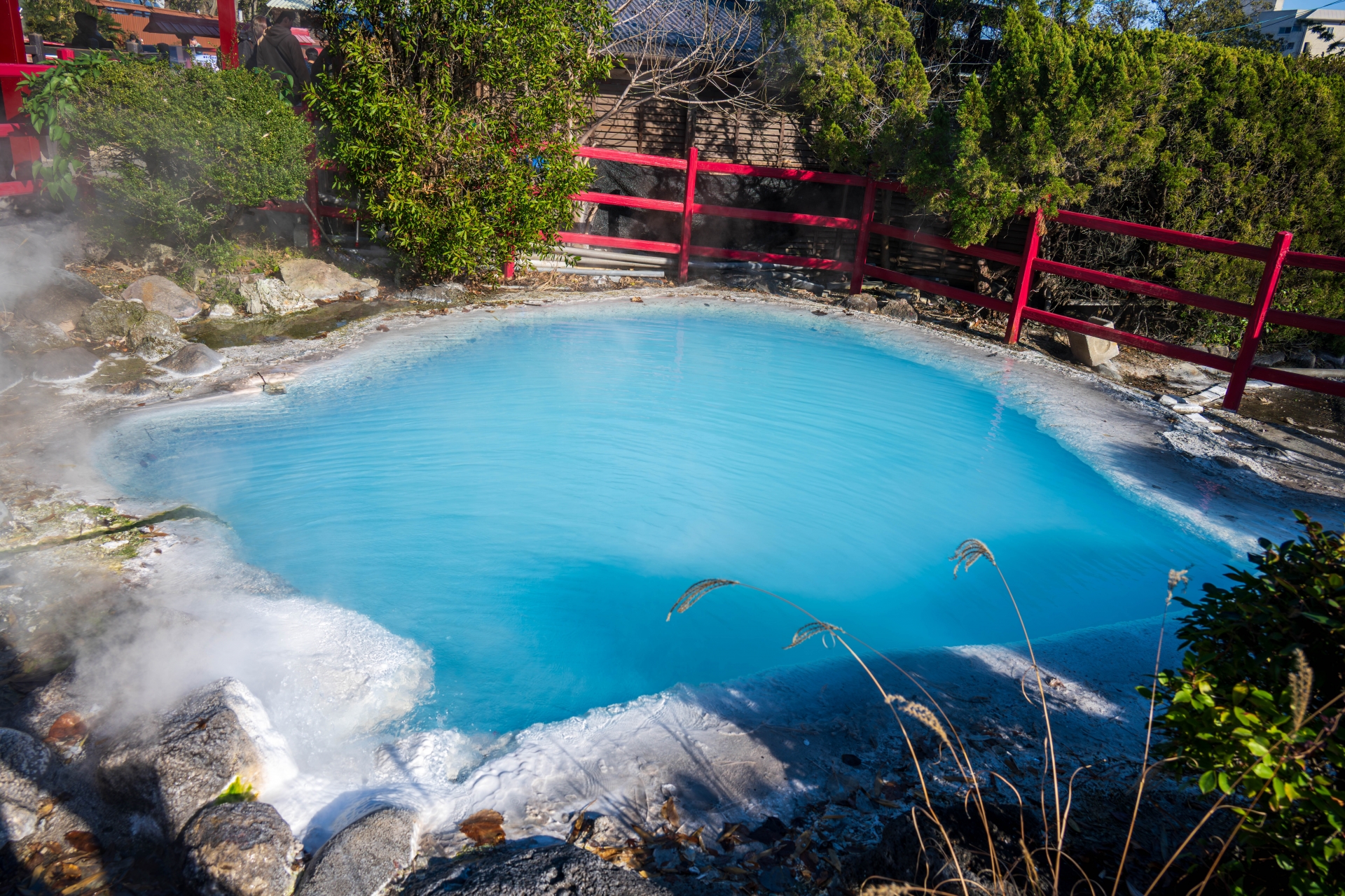 Whispers of the Underworld: A Sensory Odyssey Through Beppu’s Seven Hells - Japan Travel Guide | HOROSPO