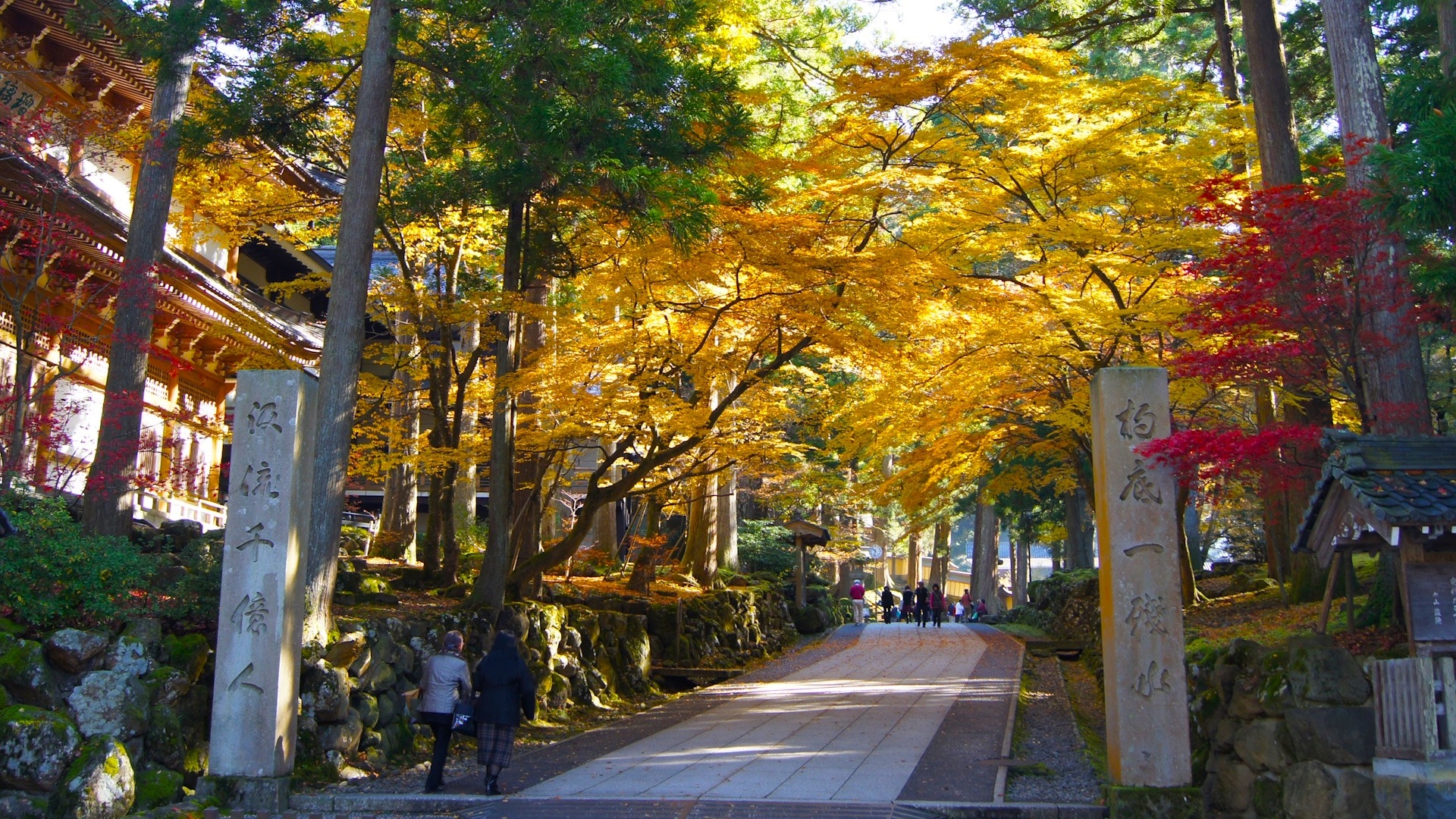 The Eternal Silence: A Spiritual Pilgrimage to Eiheiji Temple - Japan Travel Guide | HOROSPO
