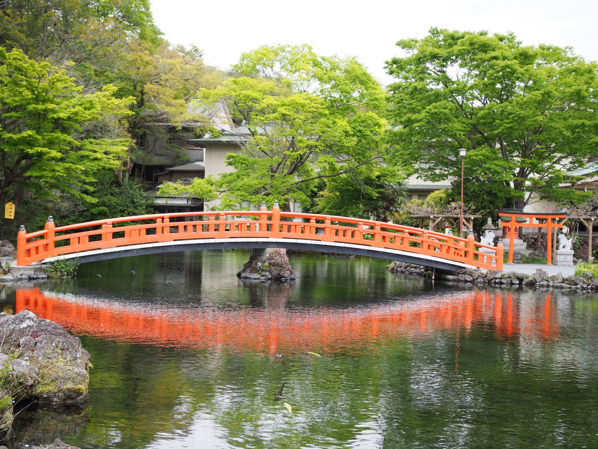 Atmospheric view of Fujinomiya Sengen Shrine - Japan Travel Guide