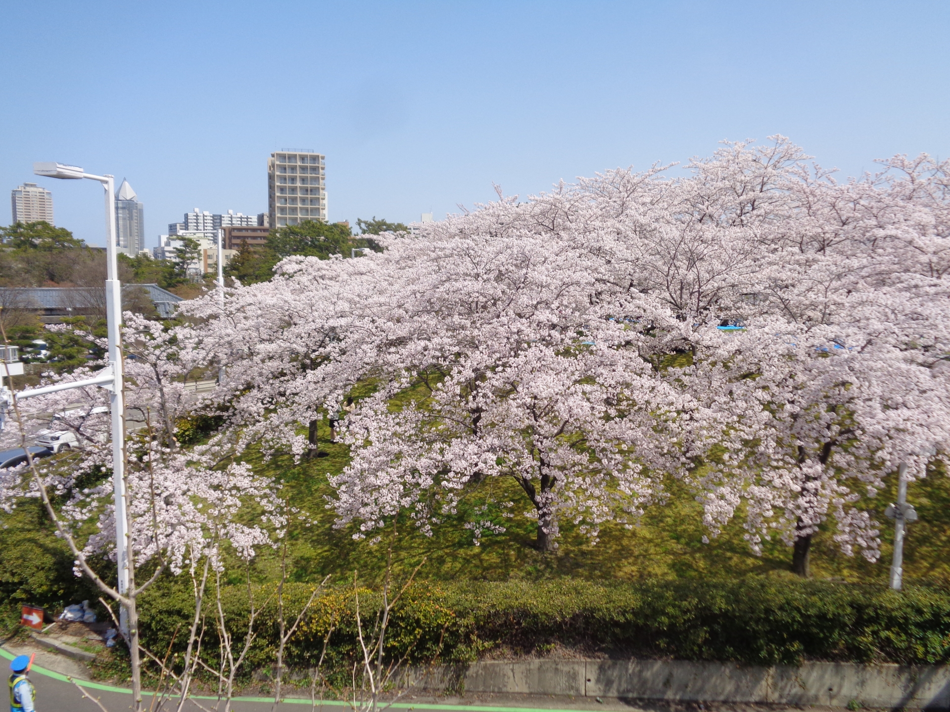 Atmospheric view of Hakusan Park - Japan Travel Guide