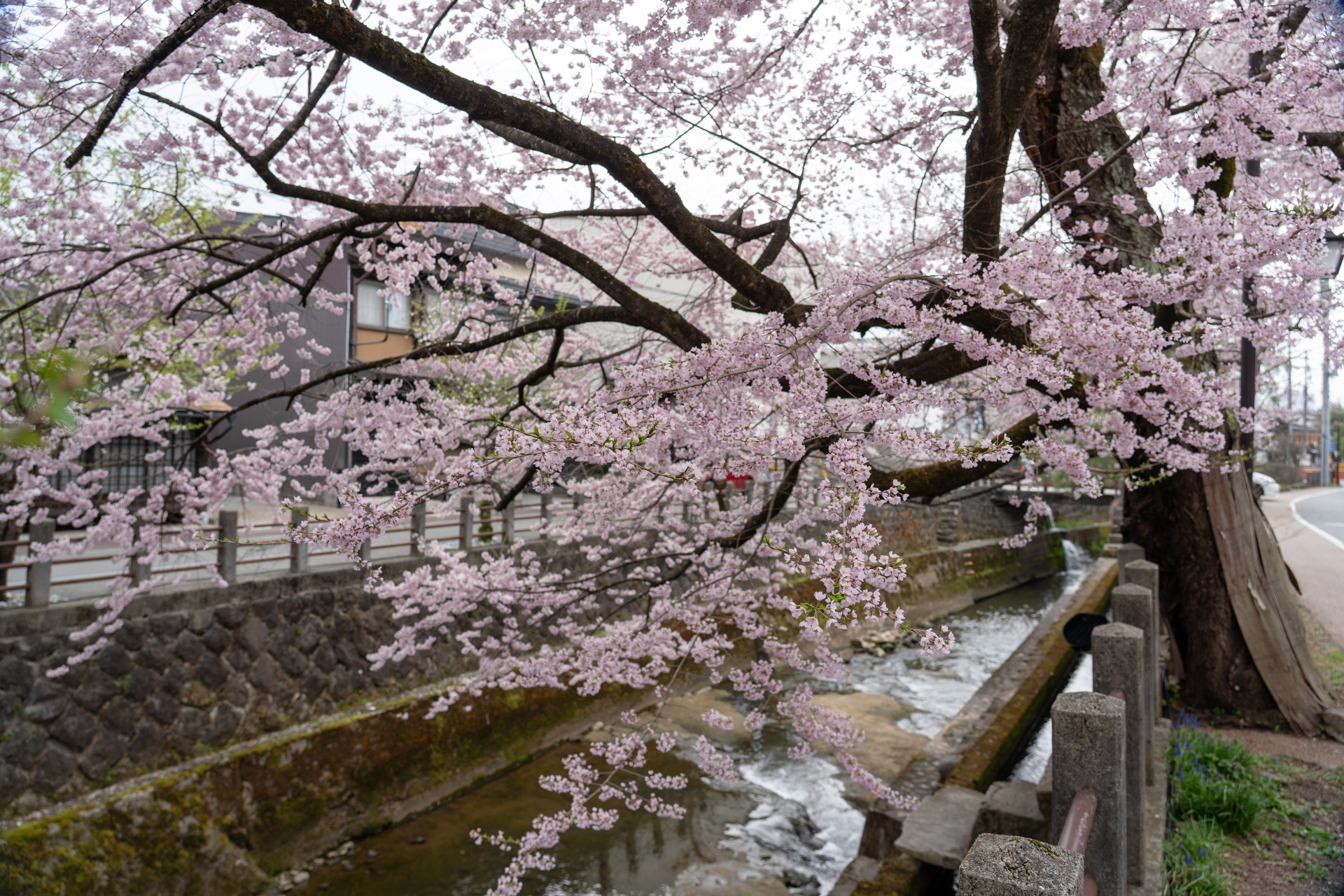 Atmospheric view of Hida Takayama - Japan Travel Guide