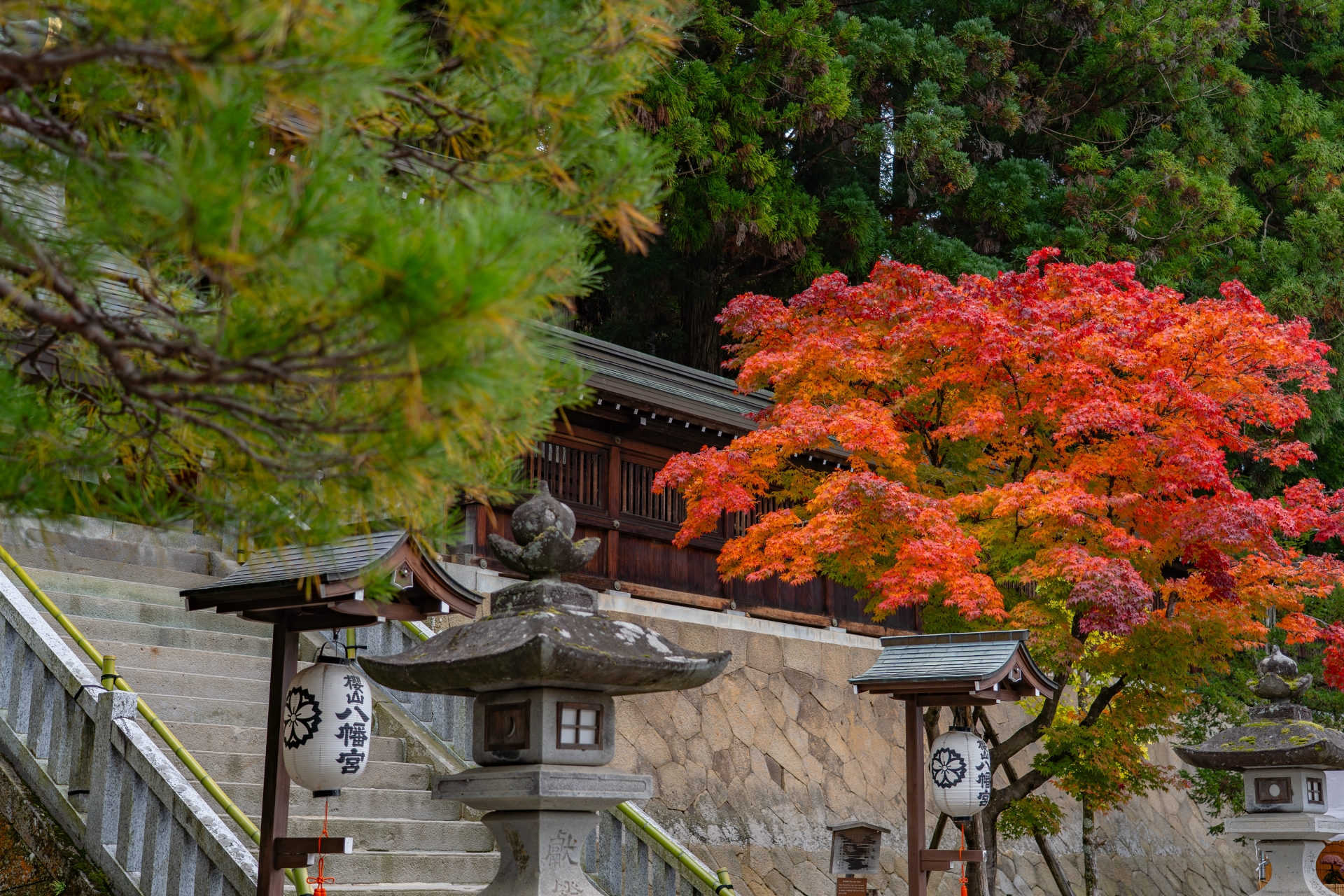 Whispers of the Edo Era: A Soulful Journey through Hida Takayama - Japan Travel Guide | HOROSPO